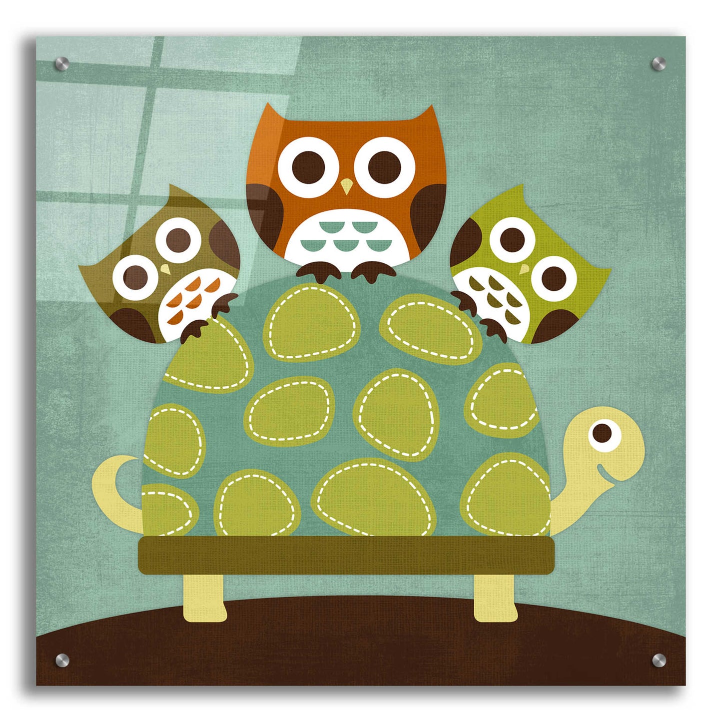 Epic Art 'Three Owls on Turtle' by Nancy Lee, Acrylic Glass Wall Art,24x24