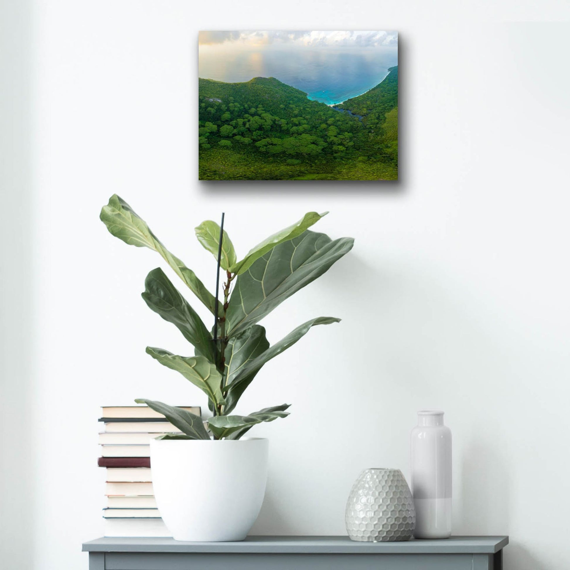 Epic Art 'Seychelles Forest Crop' by Epic Portfolio, Acrylic Glass Wall Art,16x12