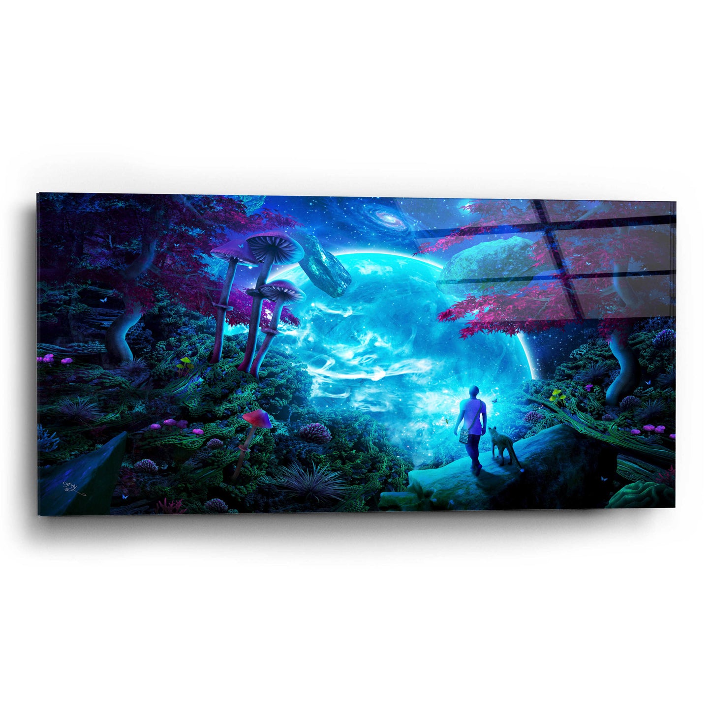 Epic Art 'Lost Sky' by Cameron Gray, Acrylic Glass Wall Art,24x12