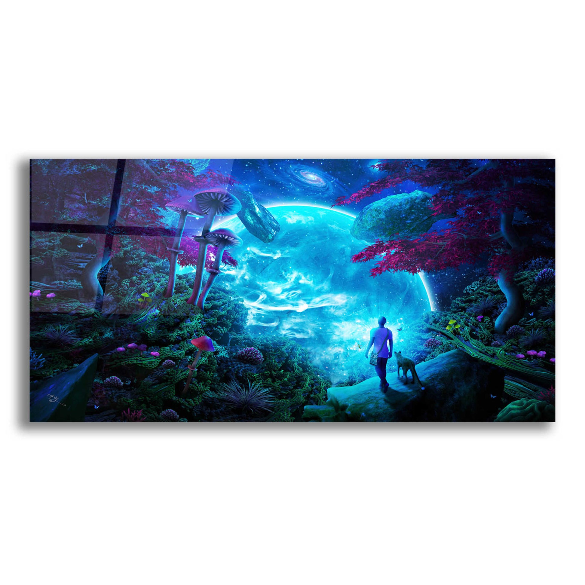 Epic Art 'Lost Sky' by Cameron Gray, Acrylic Glass Wall Art,24x12