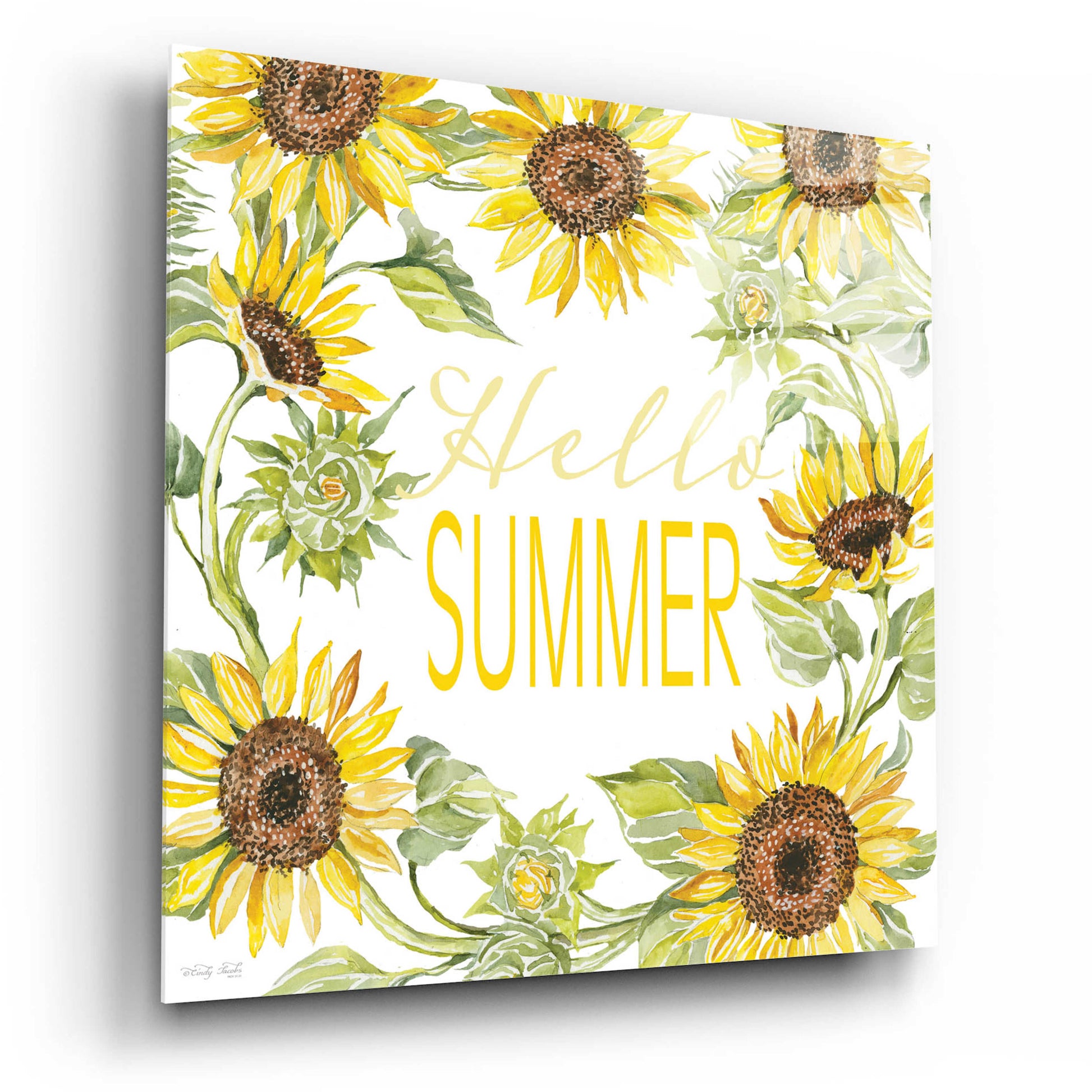 Epic Art 'Hello Summer' by Cindy Jacobs, Acrylic Glass Wall Art,12x12