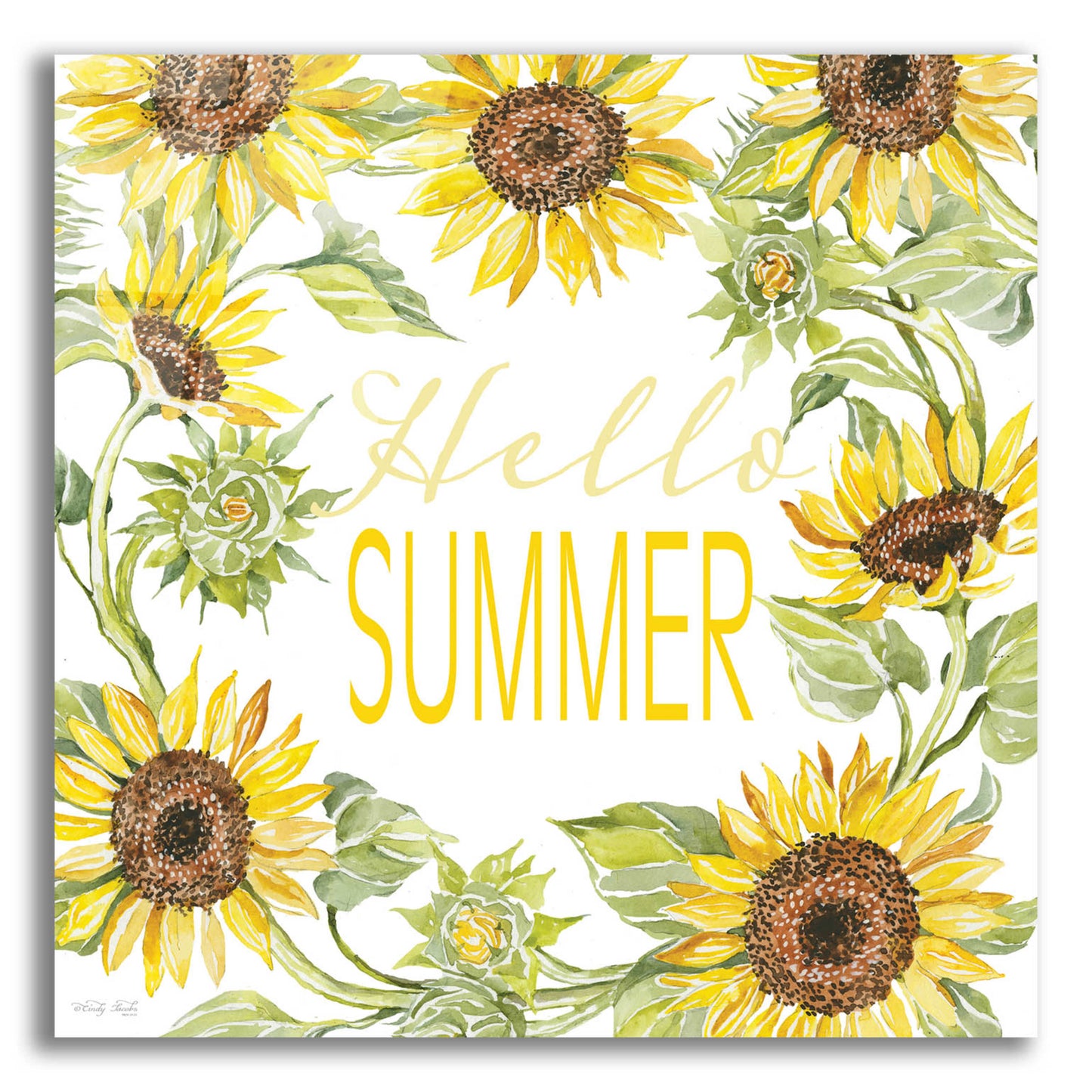 Epic Art 'Hello Summer' by Cindy Jacobs, Acrylic Glass Wall Art,12x12