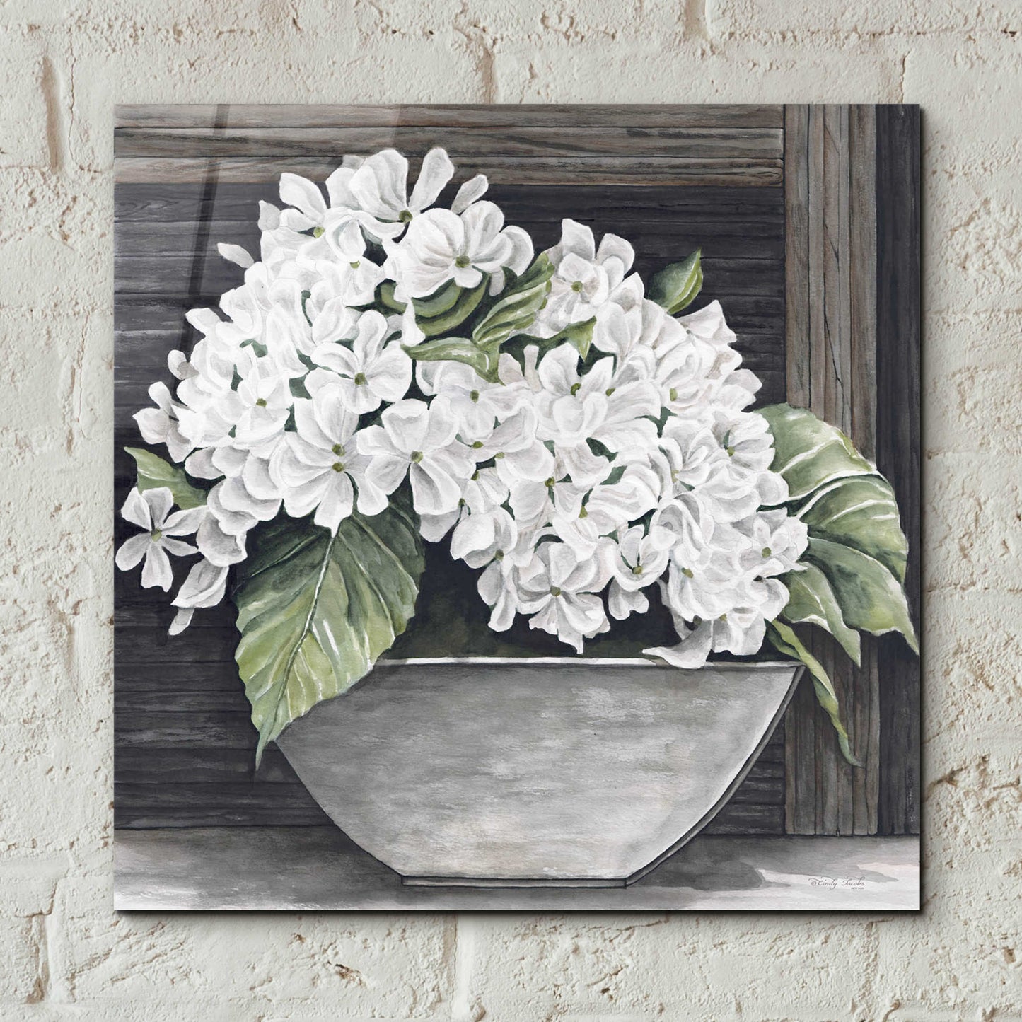 Epic Art 'Hydrangea Pot' by Cindy Jacobs, Acrylic Glass Wall Art,12x12