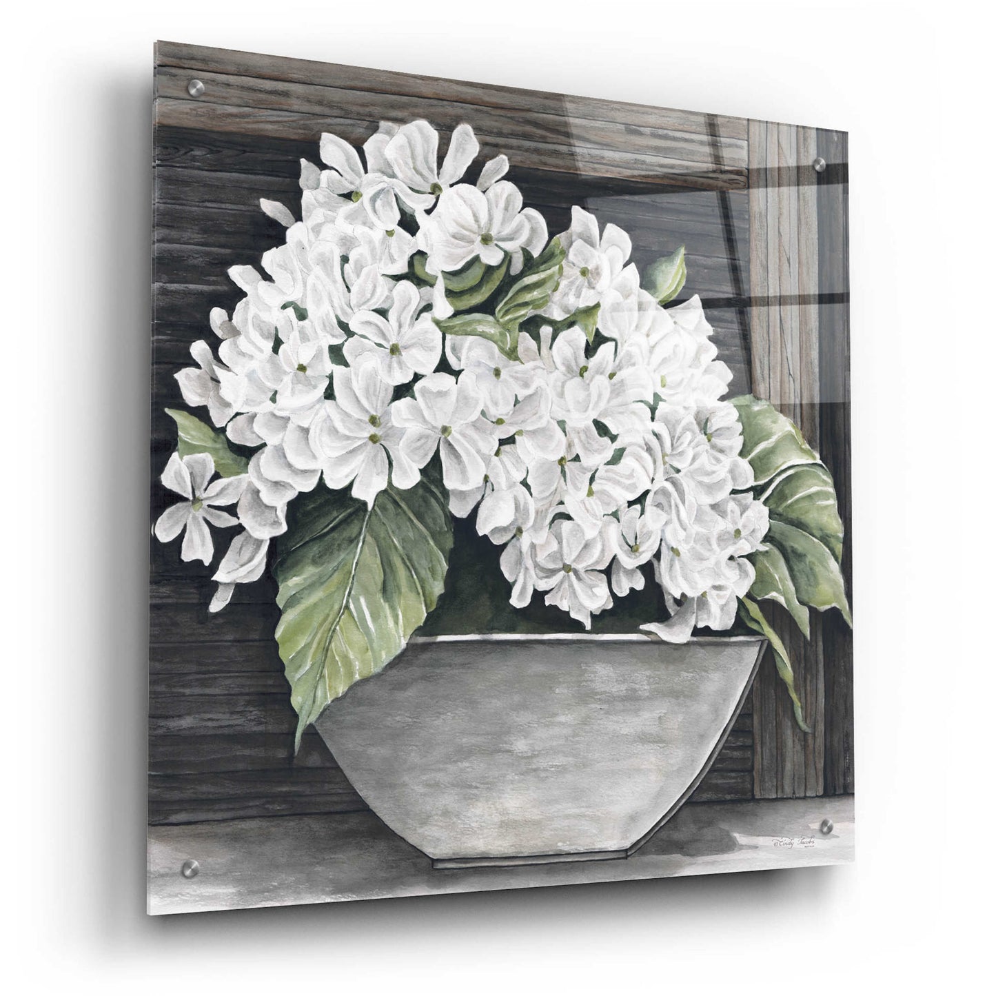 Epic Art 'Hydrangea Pot' by Cindy Jacobs, Acrylic Glass Wall Art,24x24