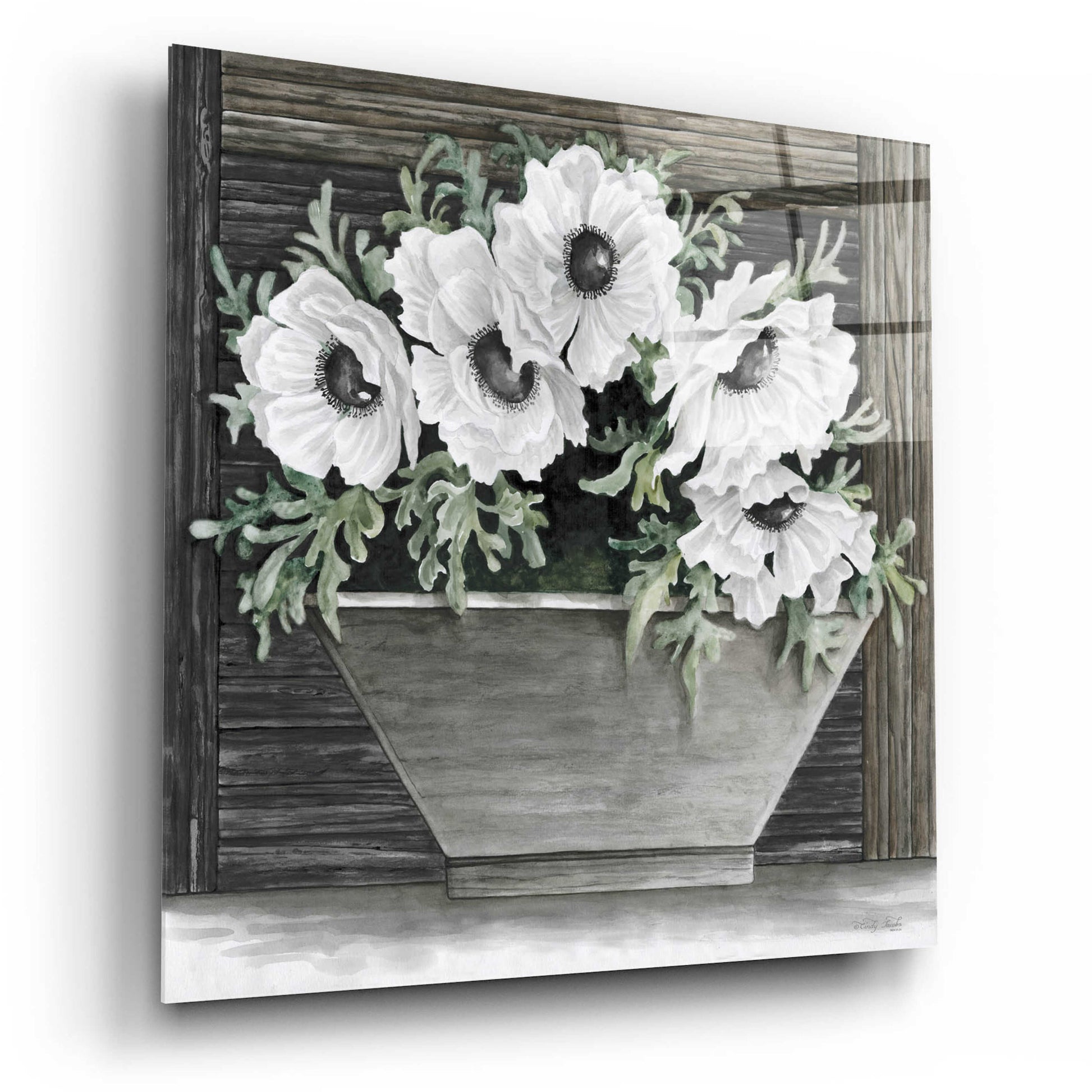 Epic Art 'Poppies Planter' by Cindy Jacobs, Acrylic Glass Wall Art,12x12