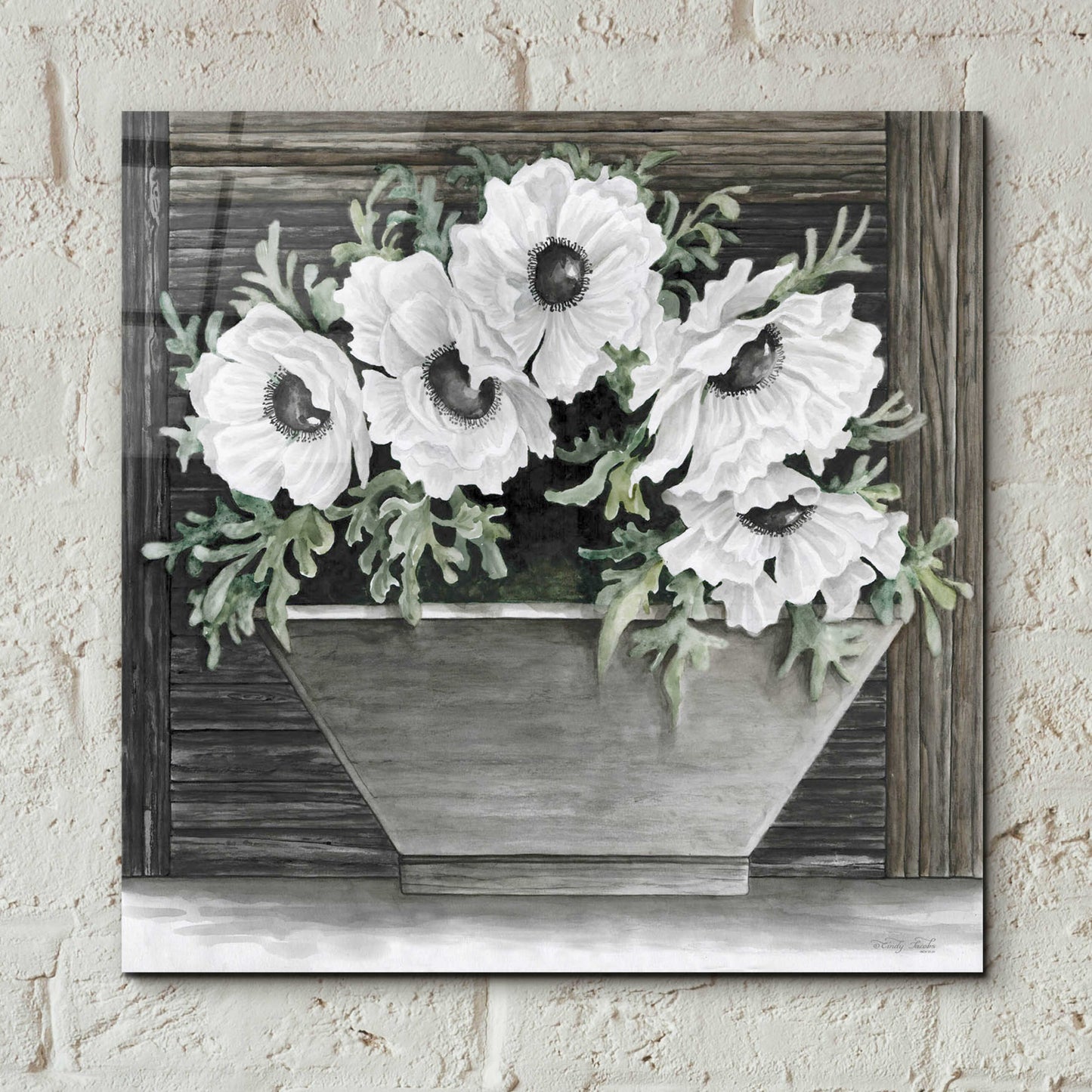 Epic Art 'Poppies Planter' by Cindy Jacobs, Acrylic Glass Wall Art,12x12