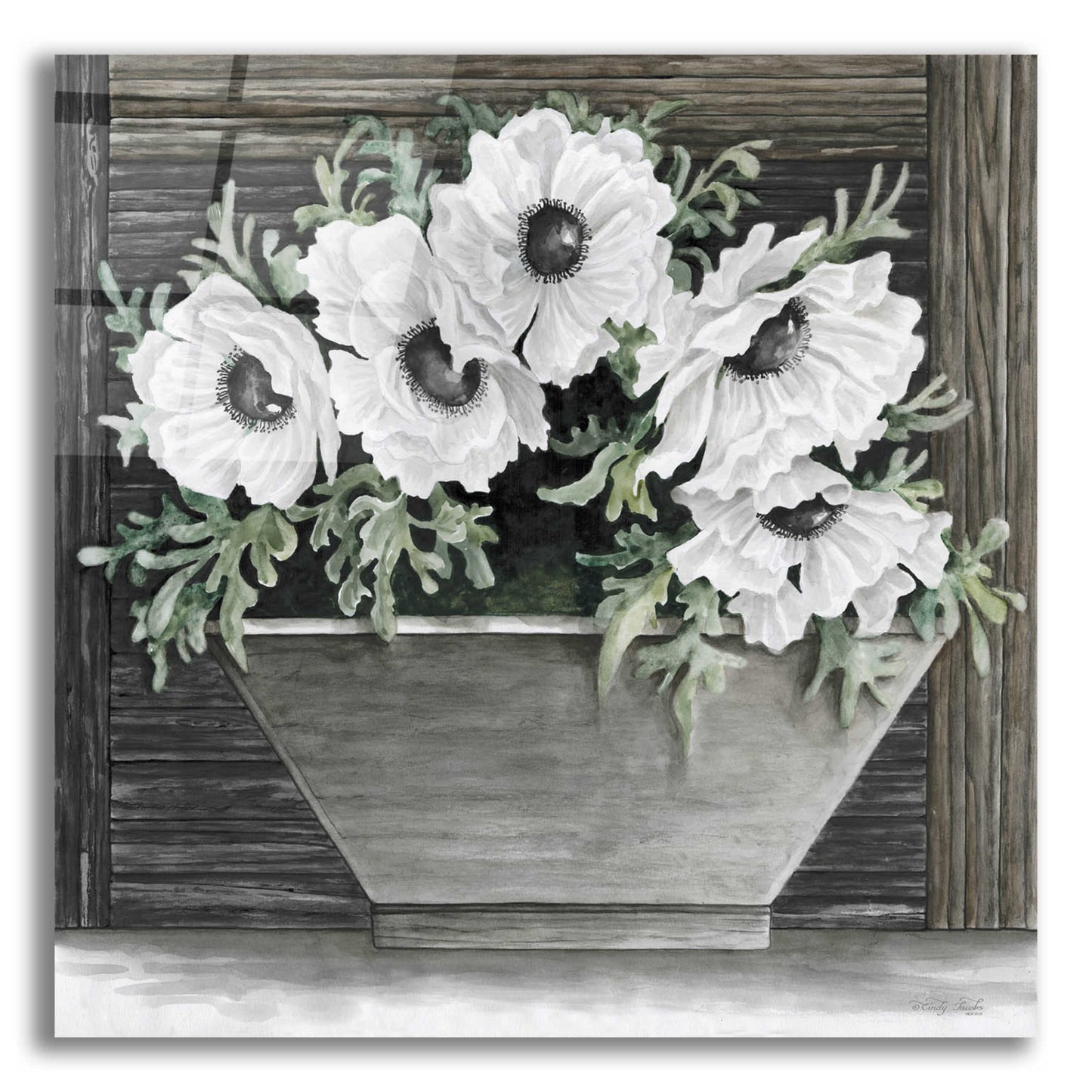 Epic Art 'Poppies Planter' by Cindy Jacobs, Acrylic Glass Wall Art,12x12