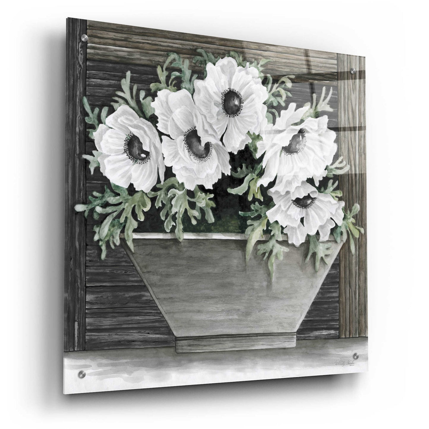 Epic Art 'Poppies Planter' by Cindy Jacobs, Acrylic Glass Wall Art,24x24