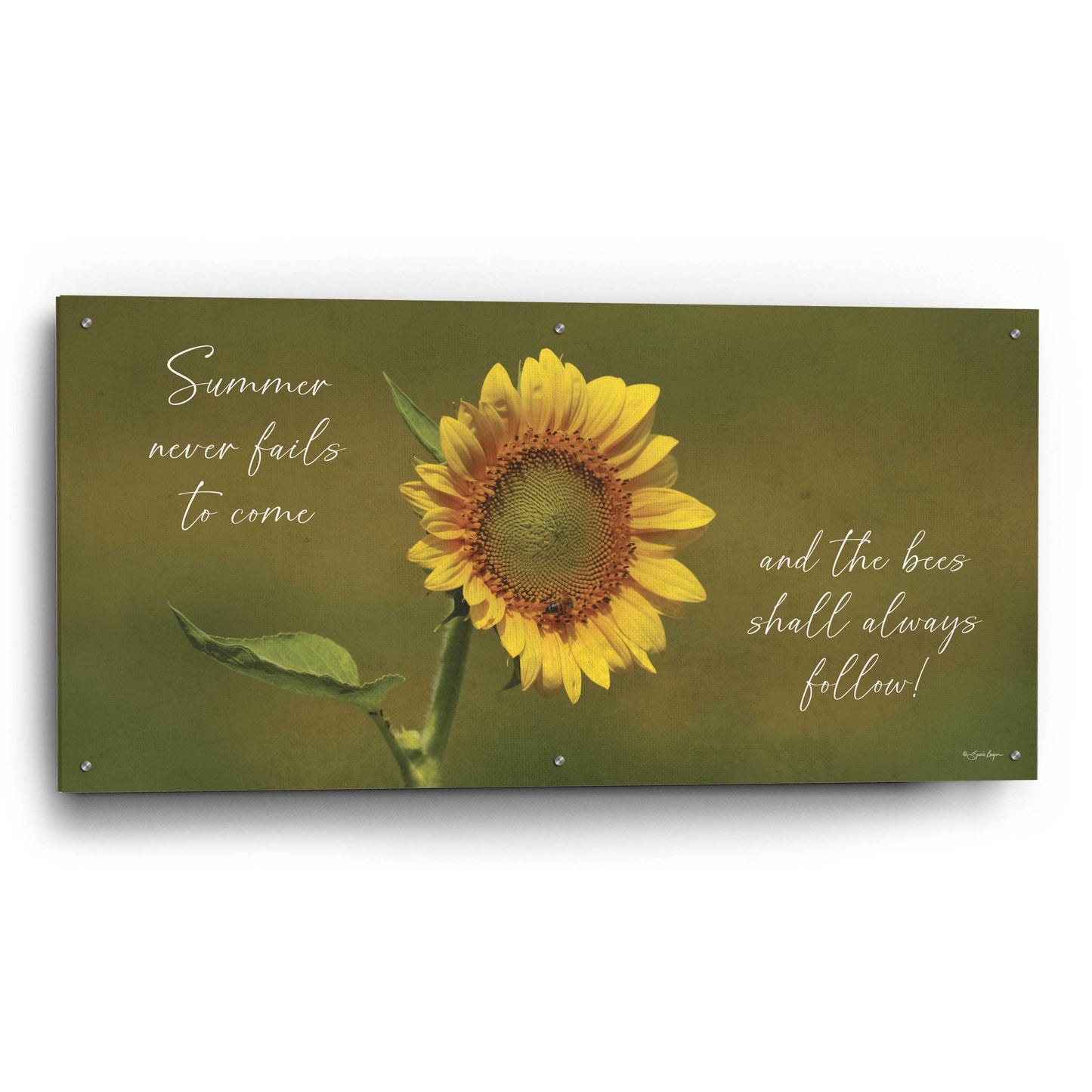 Epic Art 'Summer Never Fails To Come' by Susie Boyer, Acrylic Glass Wall Art,48x24