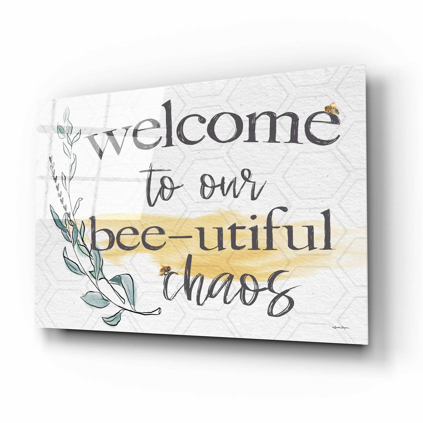 Epic Art 'Welcome To Our Bee-utiful Chaos' by Susie Boyer, Acrylic Glass Wall Art,16x12