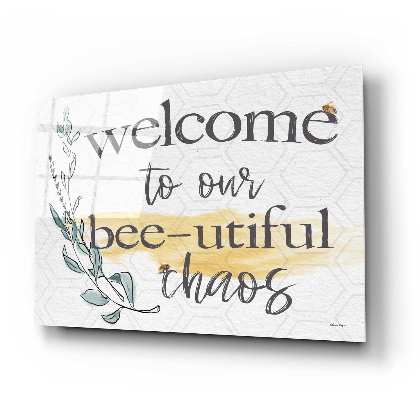 Epic Art 'Welcome To Our Bee-utiful Chaos' by Susie Boyer, Acrylic Glass Wall Art,24x16