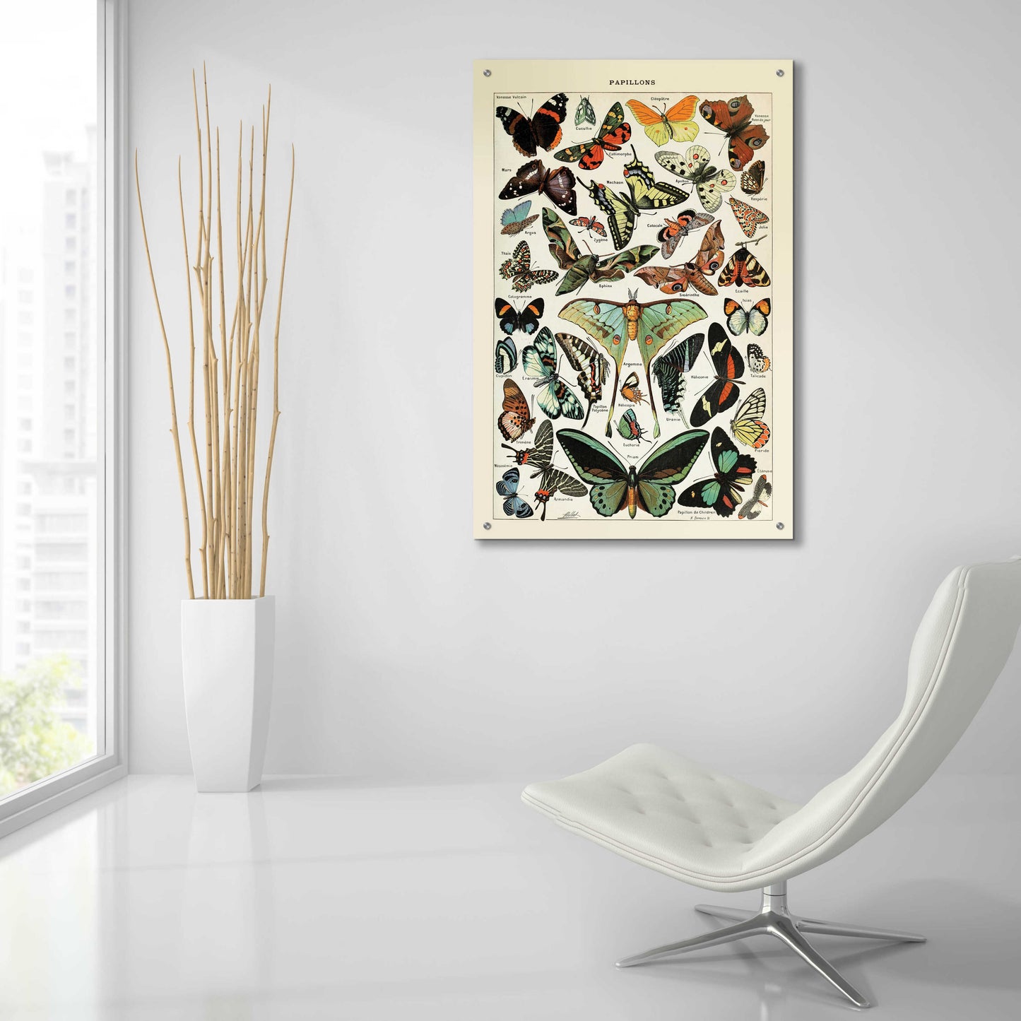 Epic Art 'Papillons 1' by Susan Ball, Acrylic Glass Wall Art,24x36