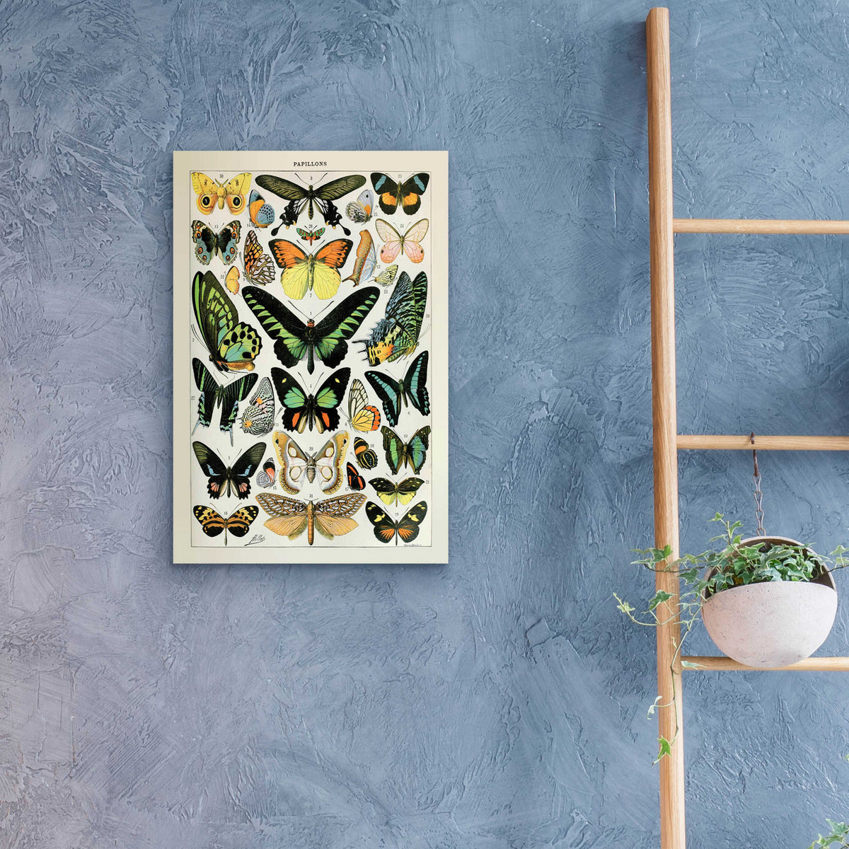 Epic Art 'Papillons 2' by Susan Ball, Acrylic Glass Wall Art,16x24