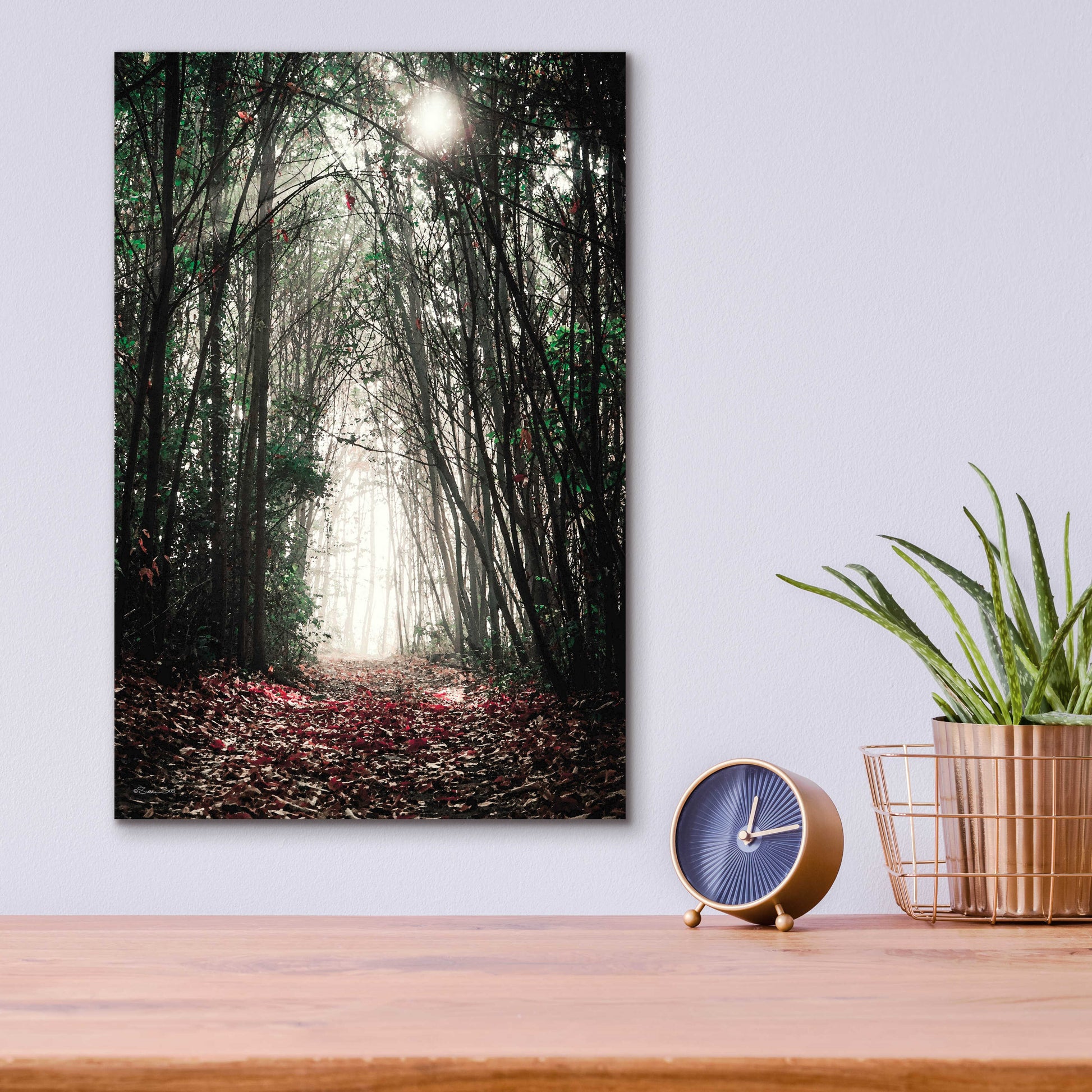 Epic Art 'Path In The Woods' by Susan Ball, Acrylic Glass Wall Art,12x16