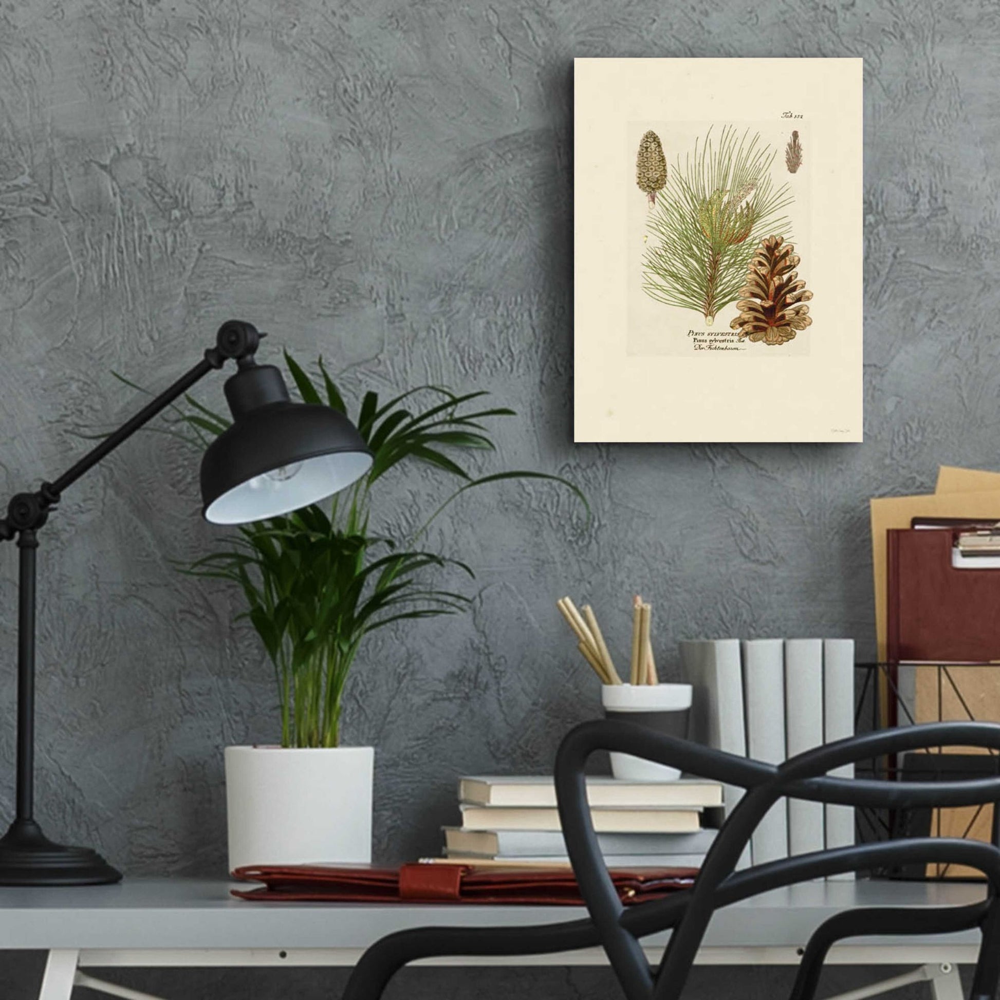 Epic Art 'Vintage Pine Cone' by Stellar Design Studio, Acrylic Glass Wall Art,12x16