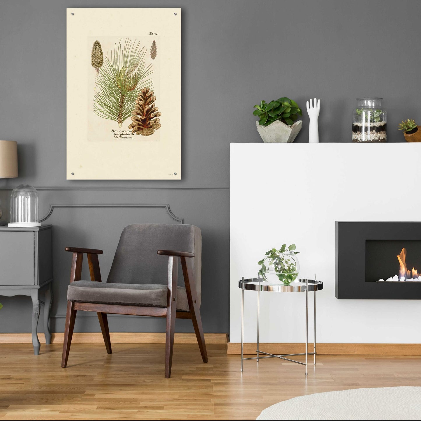 Epic Art 'Vintage Pine Cone' by Stellar Design Studio, Acrylic Glass Wall Art,24x36