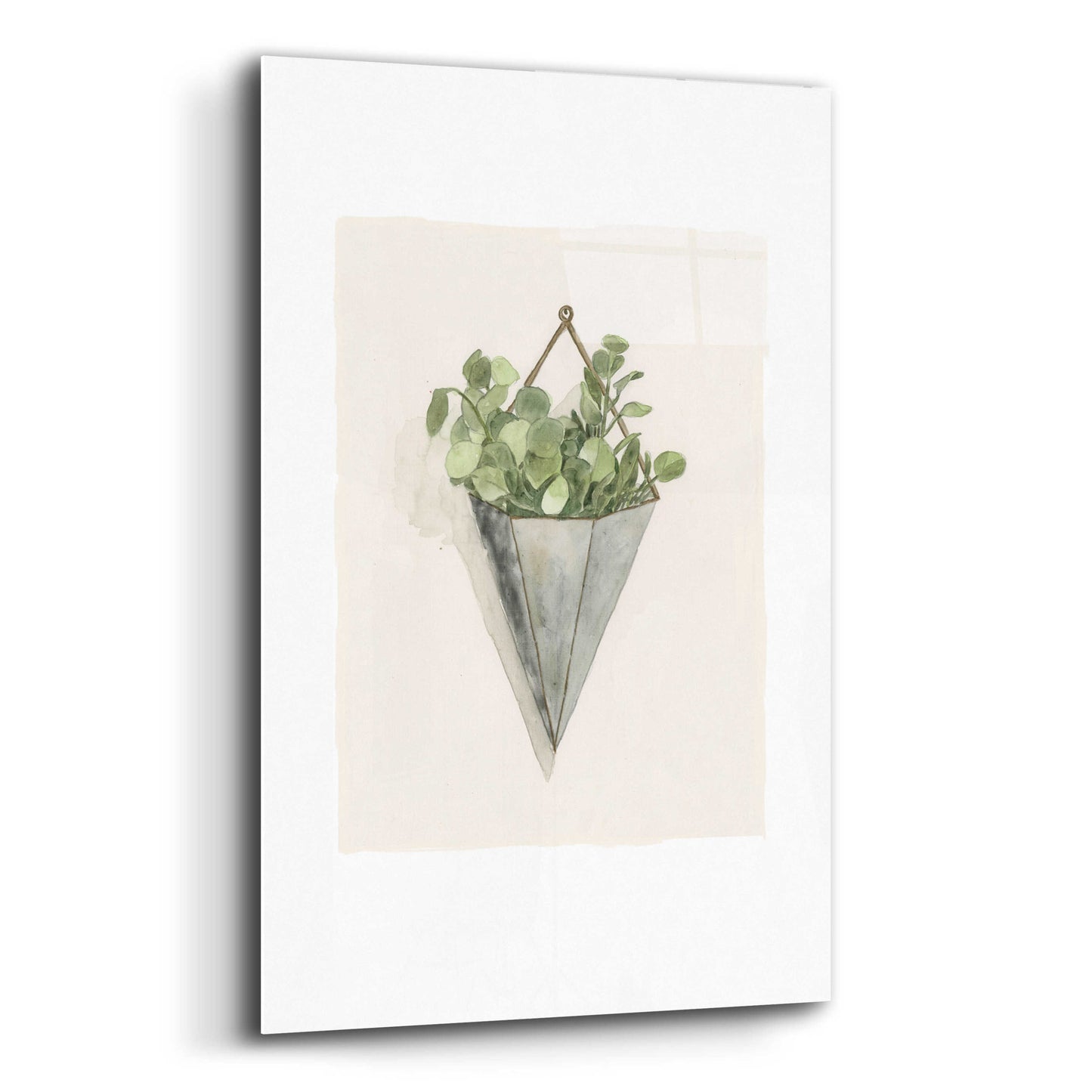 Epic Art 'Eucalyptus Wall Pocket' by Dogwood Portfolio, Acrylic Glass Wall Art,12x16