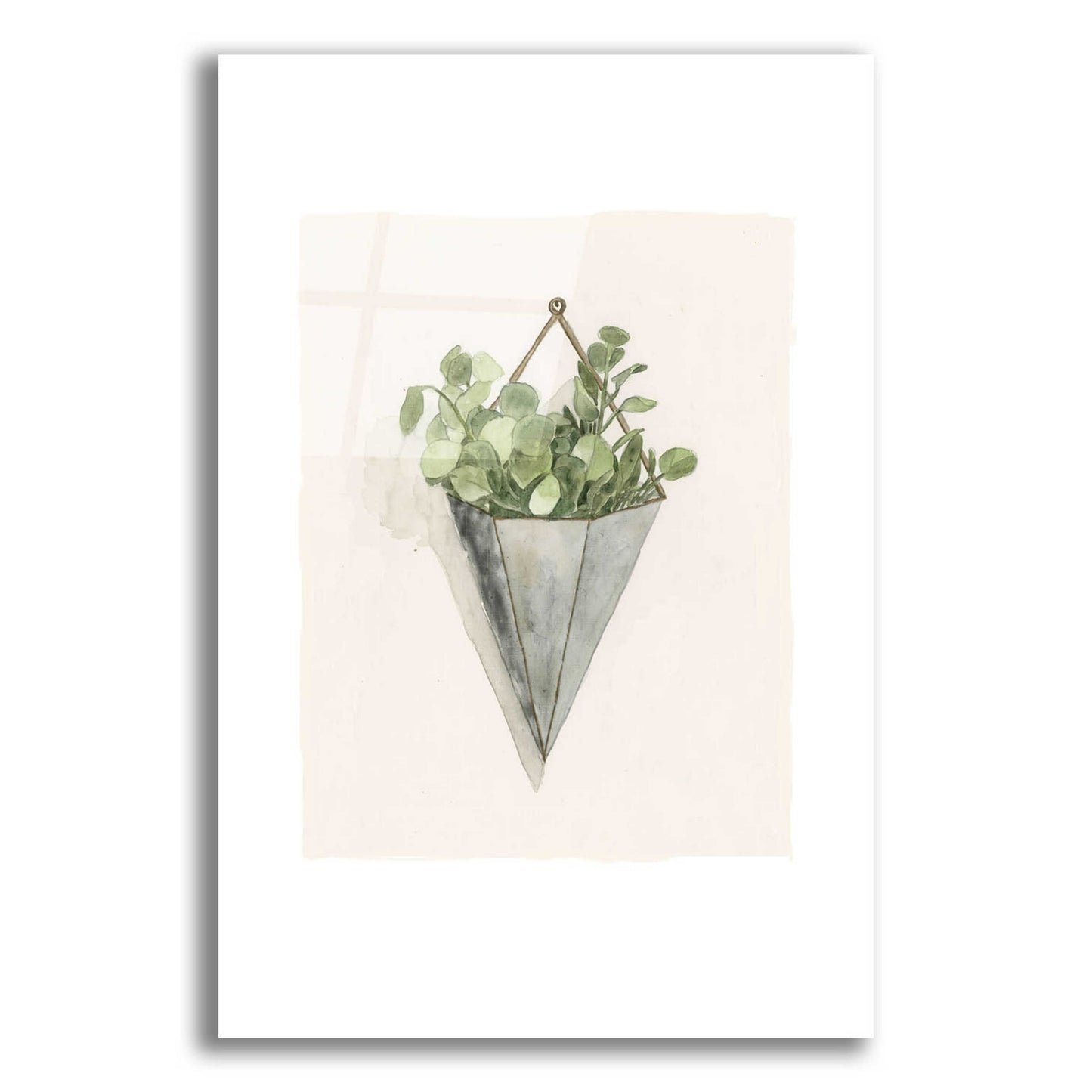 Epic Art 'Eucalyptus Wall Pocket' by Dogwood Portfolio, Acrylic Glass Wall Art,12x16