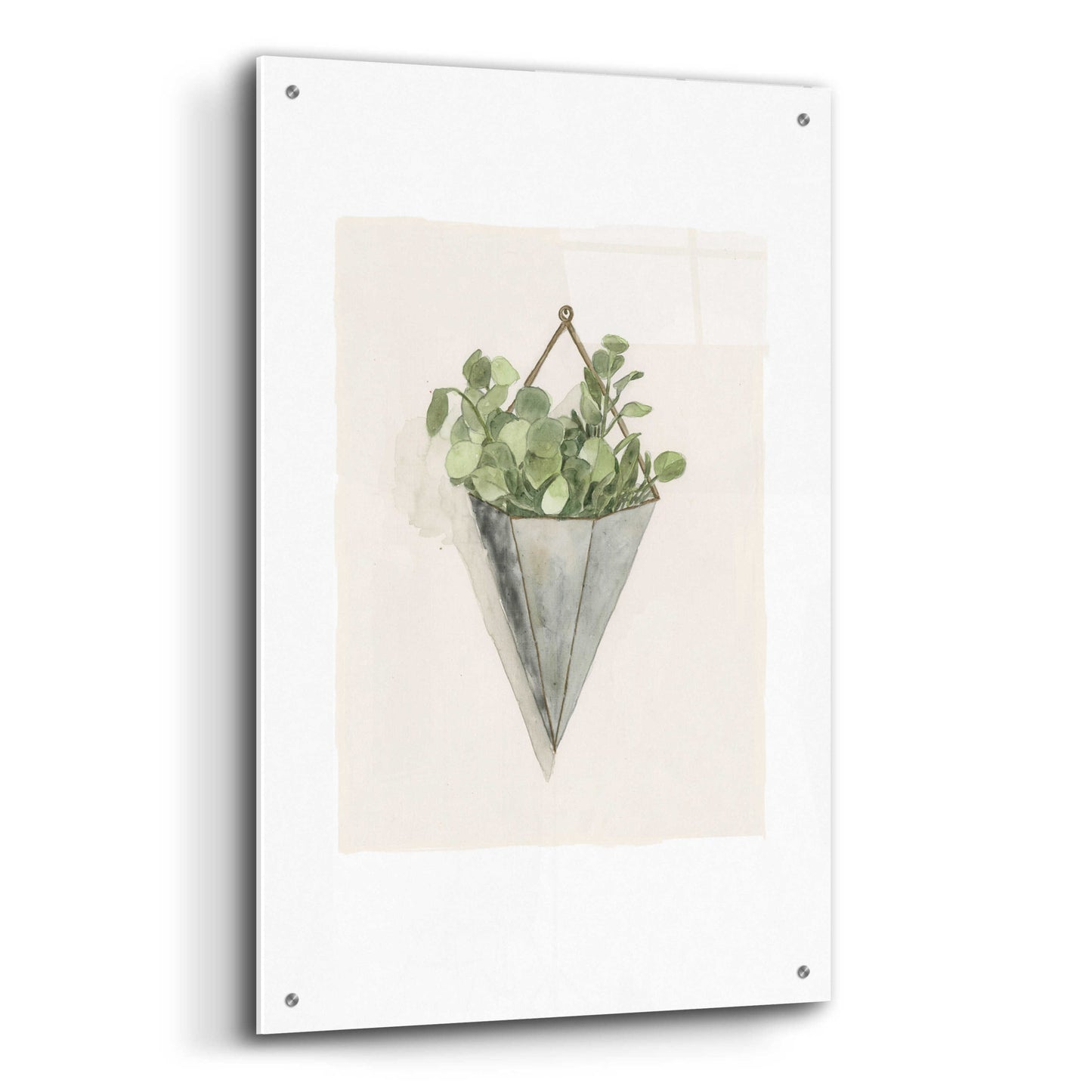 Epic Art 'Eucalyptus Wall Pocket' by Dogwood Portfolio, Acrylic Glass Wall Art,24x36