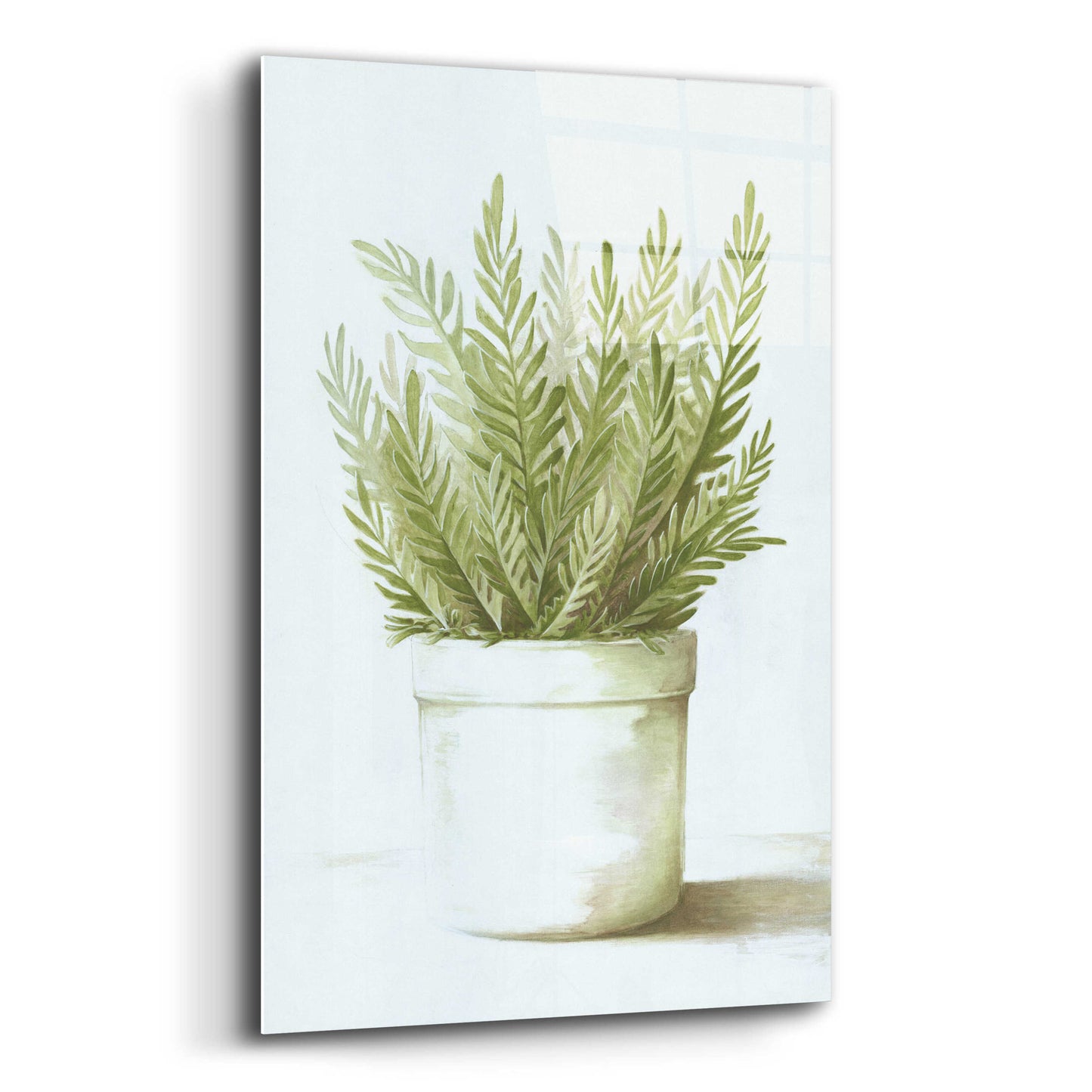 Epic Art 'Potted Fern' by Dogwood Portfolio, Acrylic Glass Wall Art,12x16