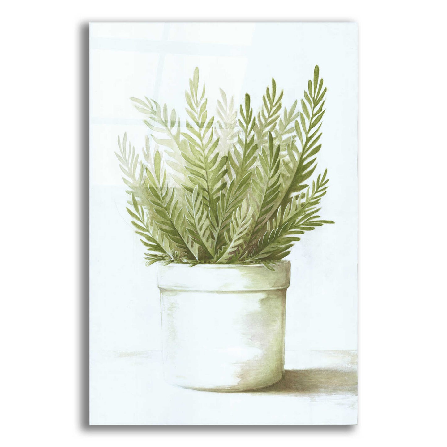 Epic Art 'Potted Fern' by Dogwood Portfolio, Acrylic Glass Wall Art,16x24