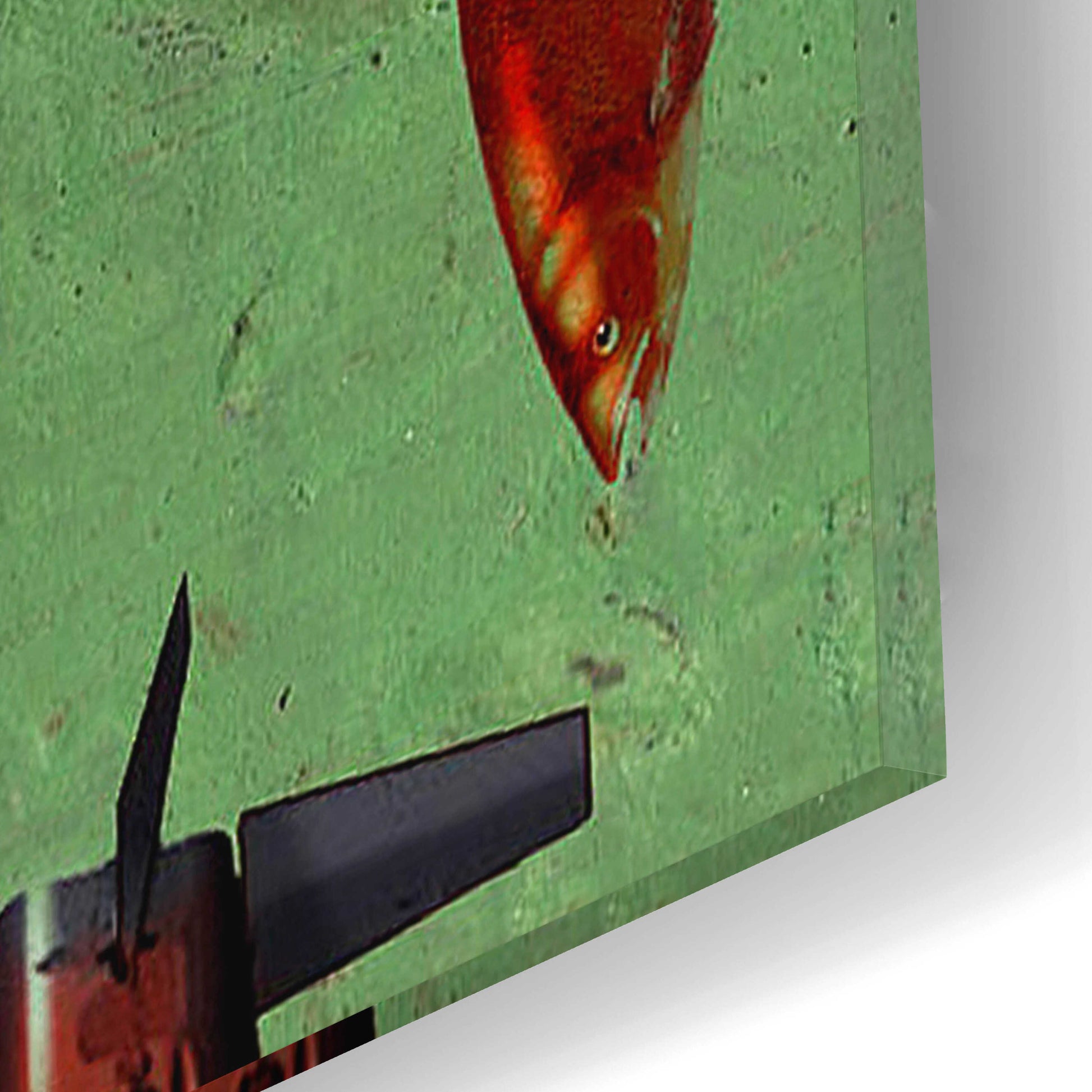 Epic Art 'Fish' by Anthony Freda, Acrylic Glass Wall Art,12x16