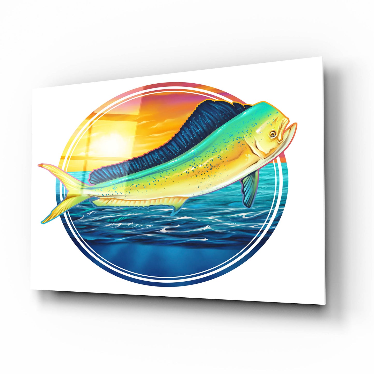 Epic Art 'Dolphin Fish Illustration' by Flyland Designs, Acrylic Glass Wall Art,16x12