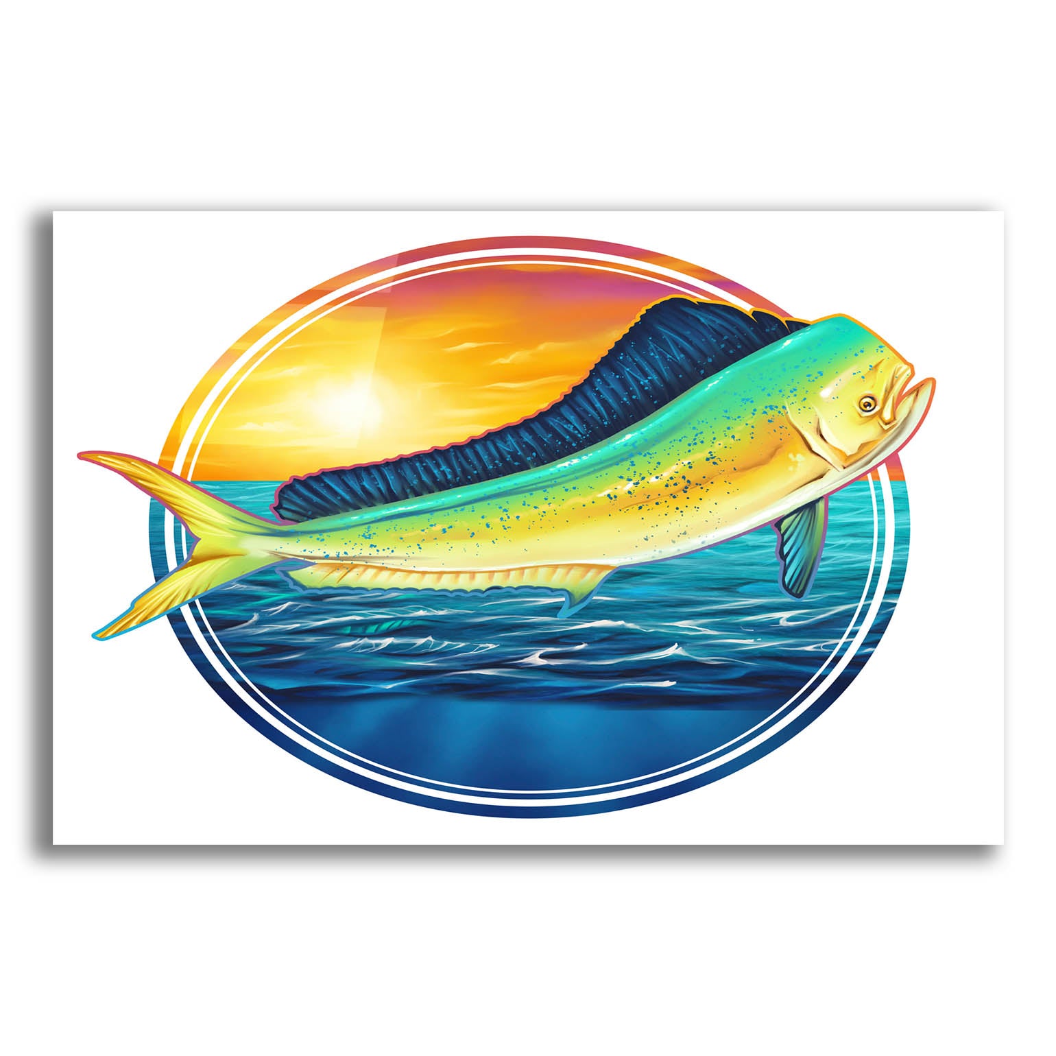 Epic Art 'Dolphin Fish Illustration' by Flyland Designs, Acrylic Glass Wall Art,16x12