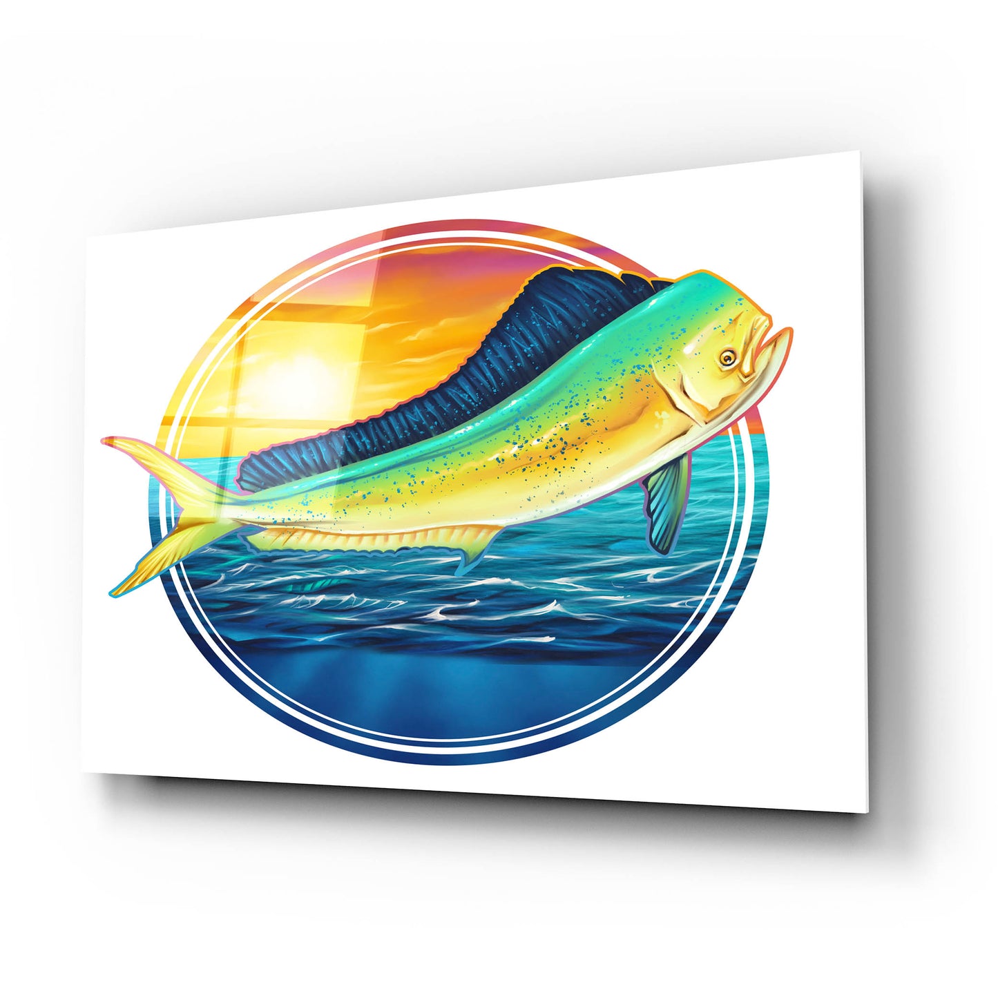 Epic Art 'Dolphin Fish Illustration' by Flyland Designs, Acrylic Glass Wall Art,24x16