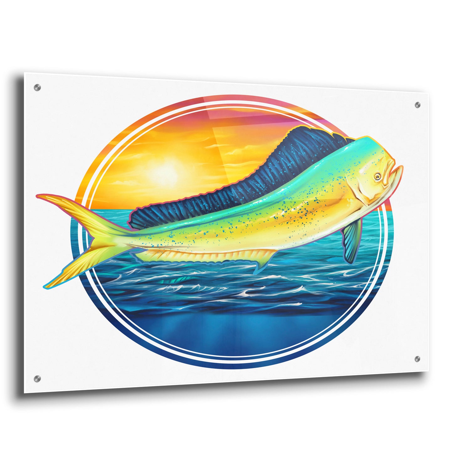 Epic Art 'Dolphin Fish Illustration' by Flyland Designs, Acrylic Glass Wall Art,36x24