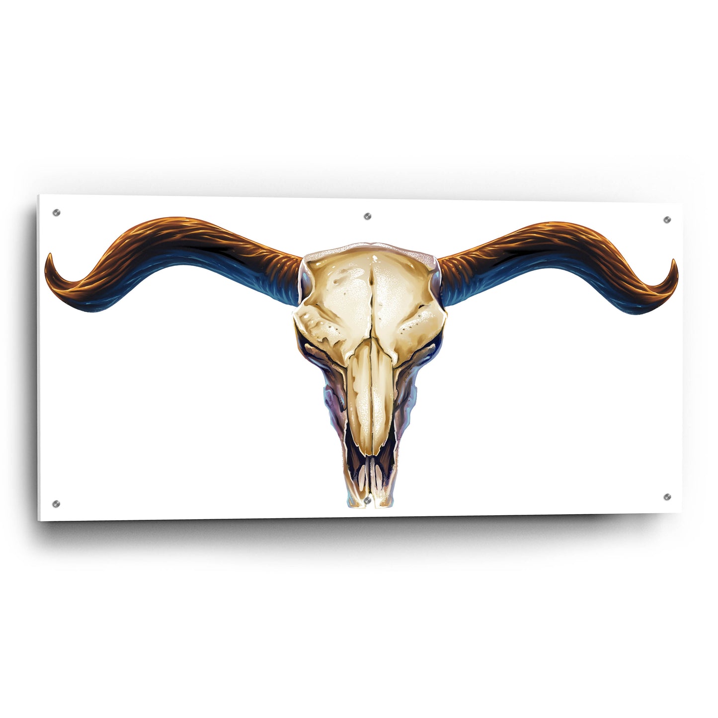 Epic Art 'Steer Skull 02' by Flyland Designs, Acrylic Glass Wall Art,48x24