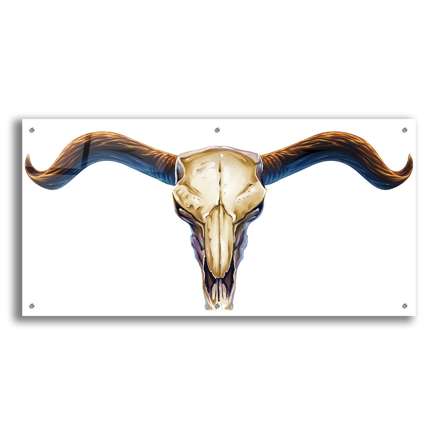 Epic Art 'Steer Skull 02' by Flyland Designs, Acrylic Glass Wall Art,48x24