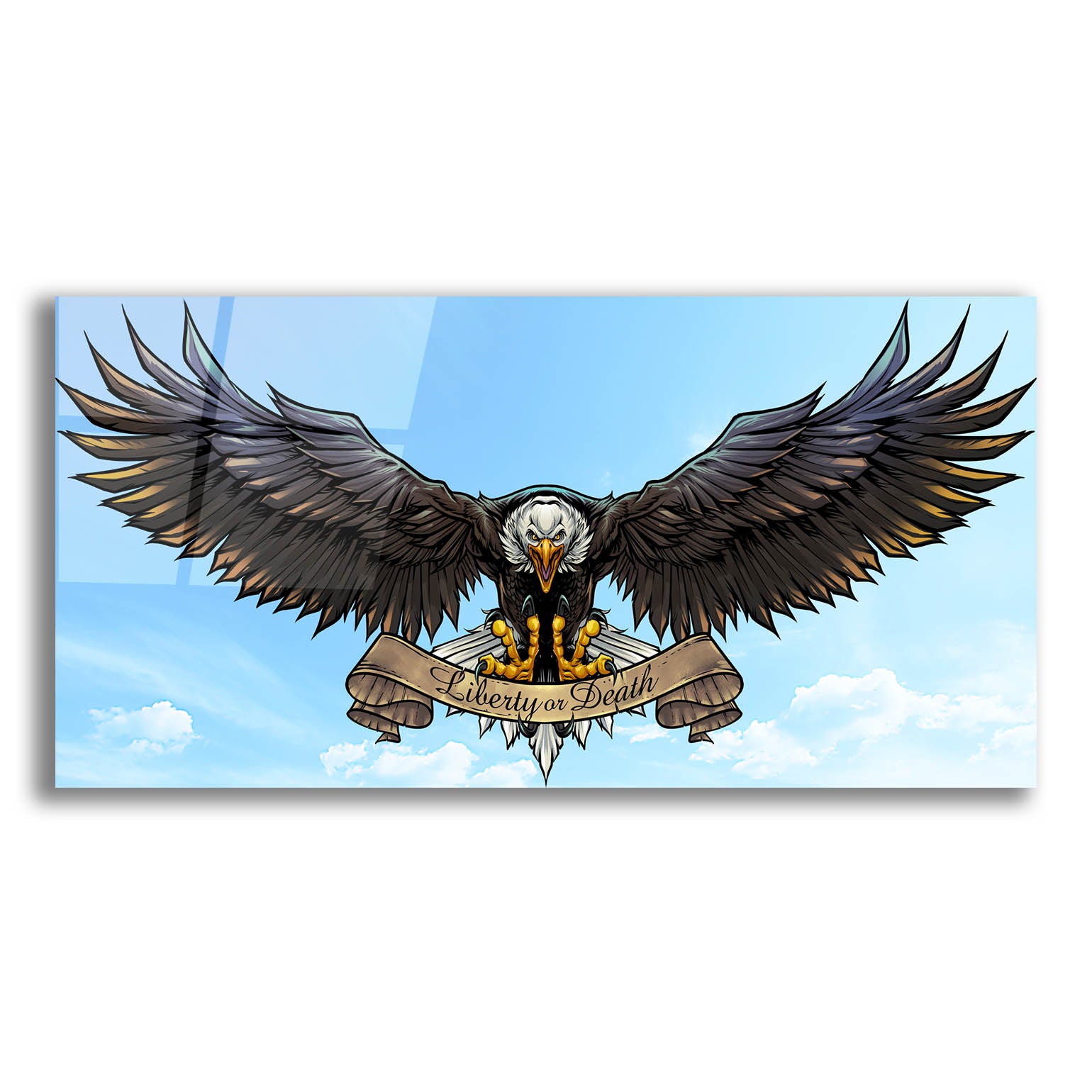 Epic Art 'American Eagle Sky' by Flyland Designs, Acrylic Glass Wall Art,24x12