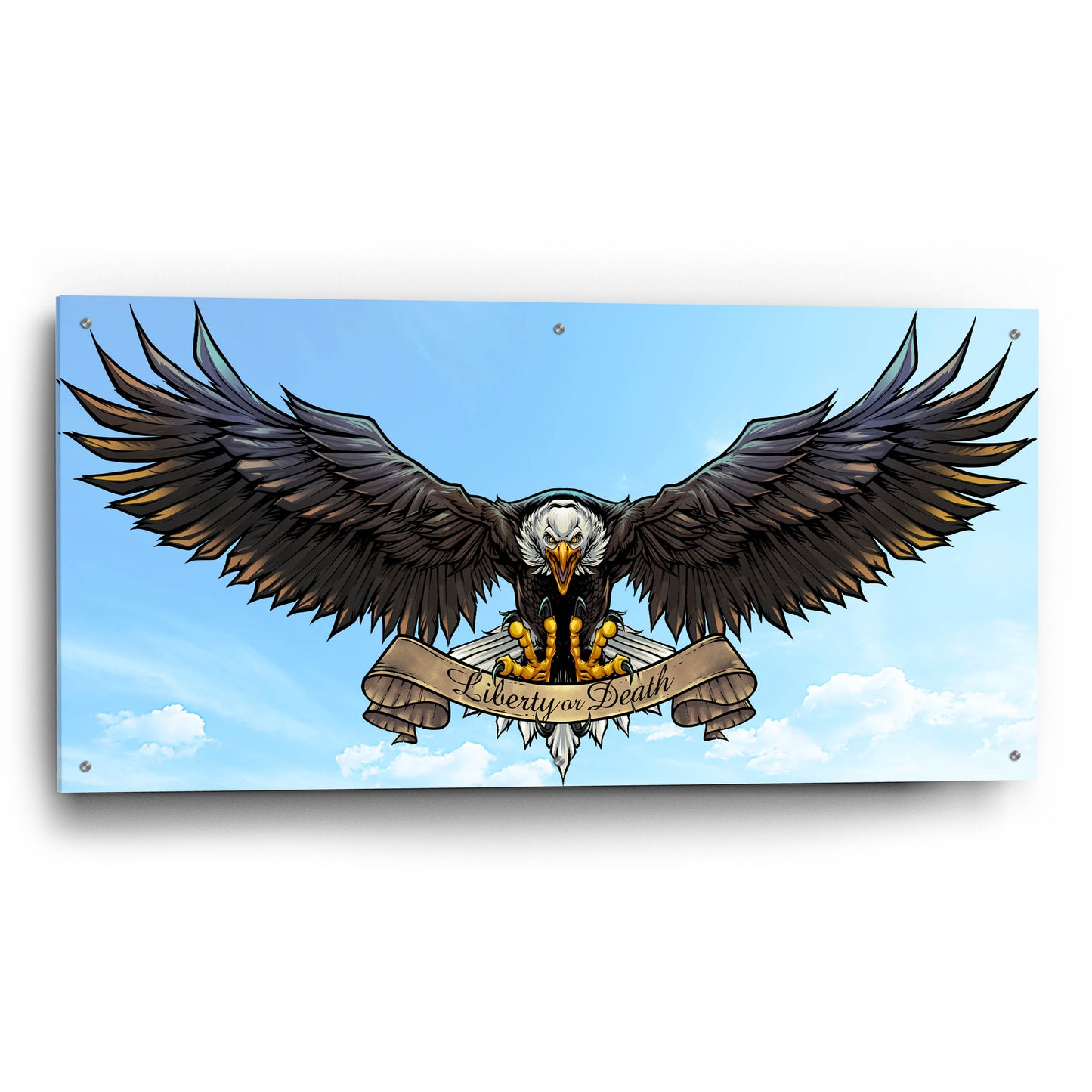 Epic Art 'American Eagle Sky' by Flyland Designs, Acrylic Glass Wall Art,48x24