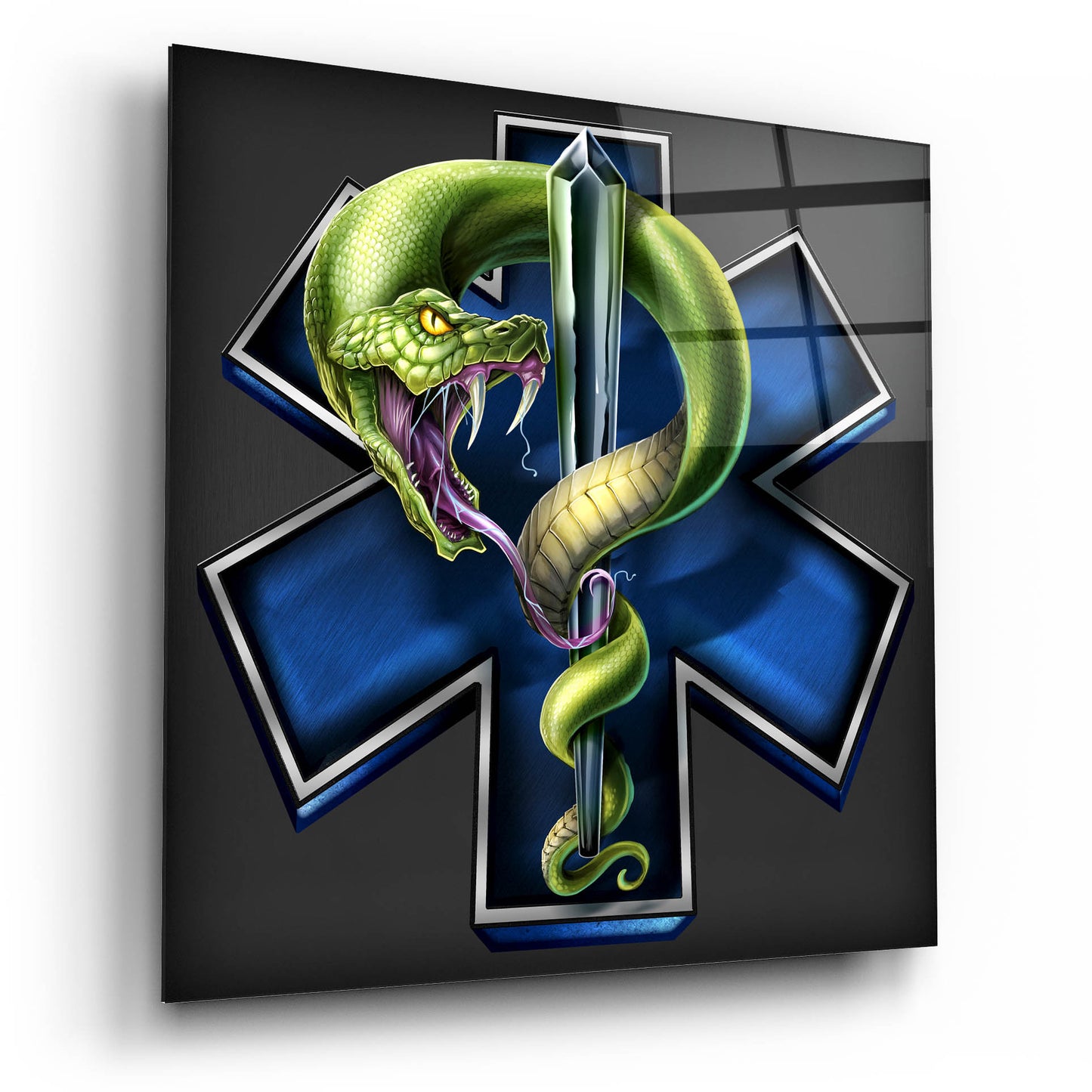 Epic Art 'EMS Star of Life With Snake' by Flyland Designs, Acrylic Glass Wall Art,12x12