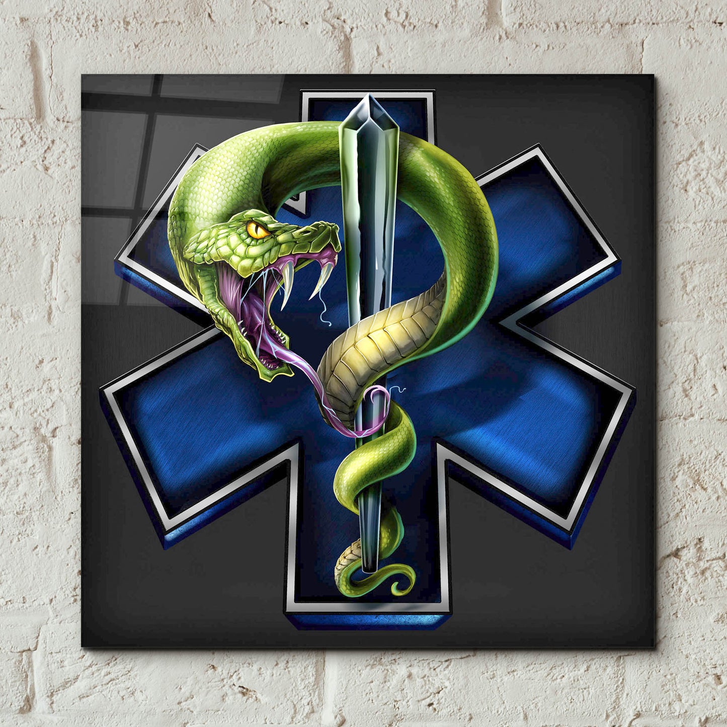 Epic Art 'EMS Star of Life With Snake' by Flyland Designs, Acrylic Glass Wall Art,12x12