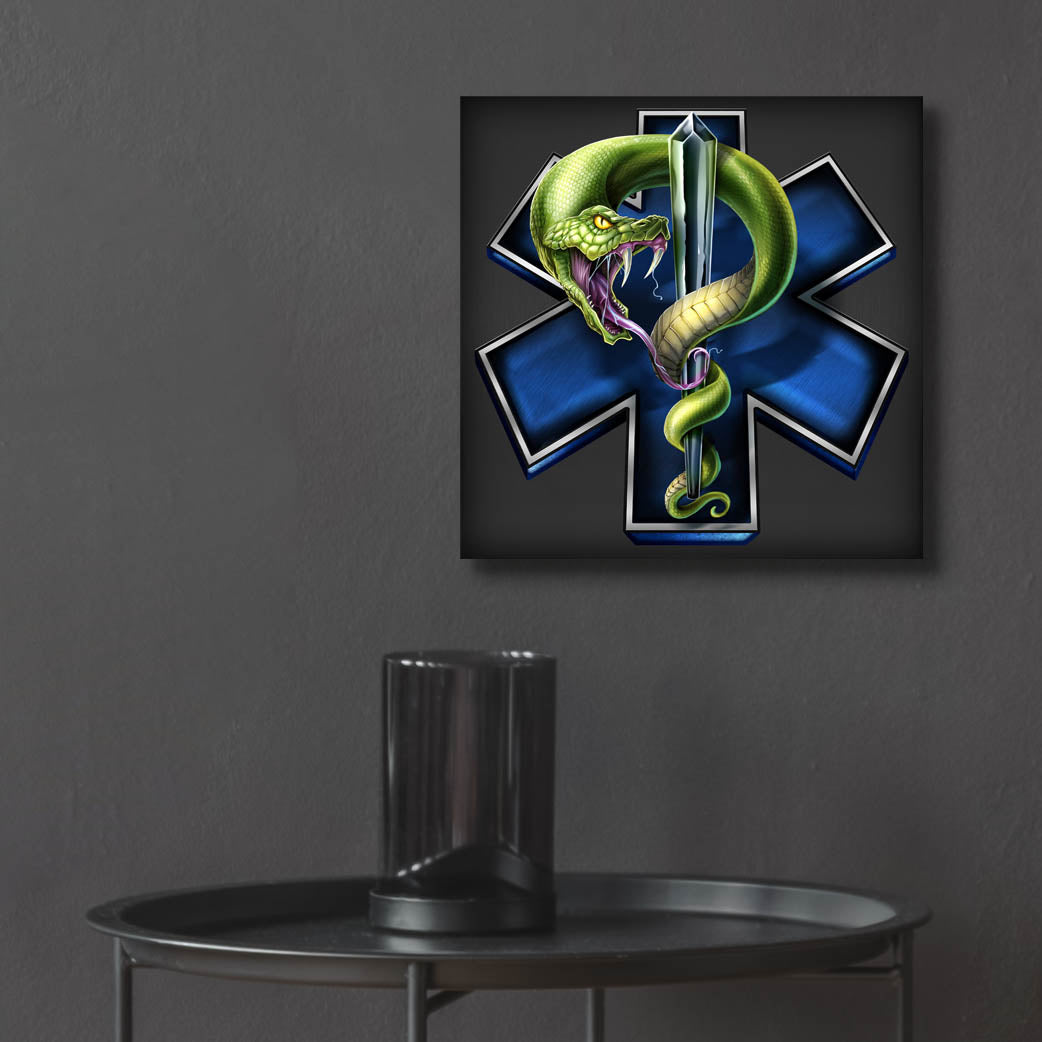 Epic Art 'EMS Star of Life With Snake' by Flyland Designs, Acrylic Glass Wall Art,12x12