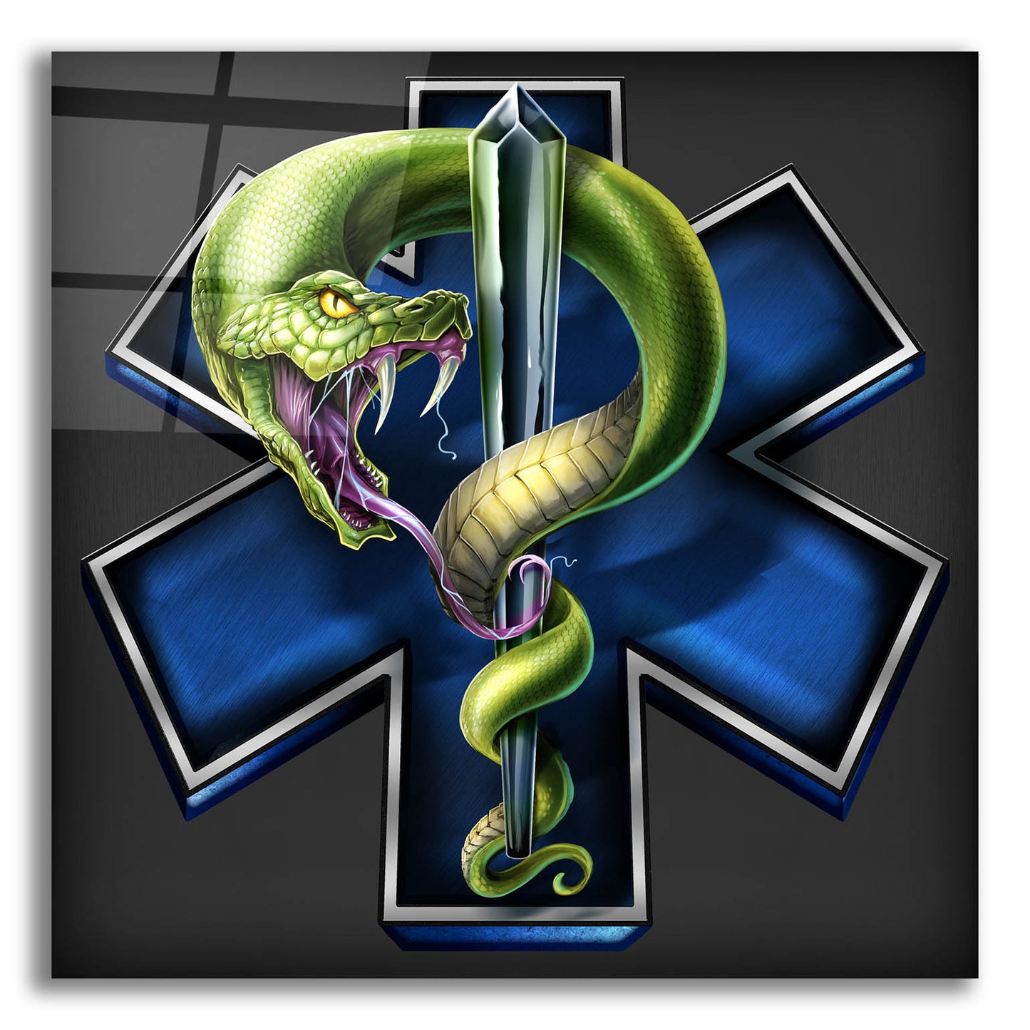 Epic Art 'EMS Star of Life With Snake' by Flyland Designs, Acrylic Glass Wall Art,12x12