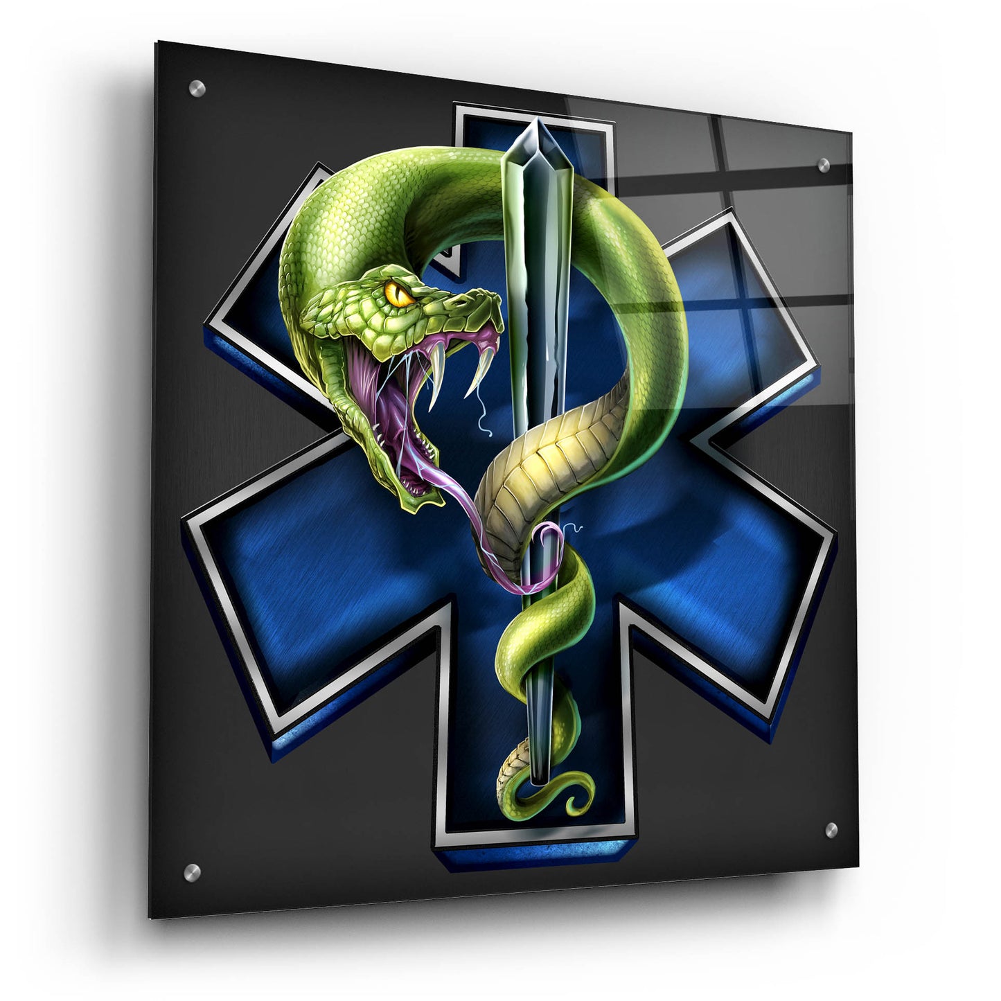 Epic Art 'EMS Star of Life With Snake' by Flyland Designs, Acrylic Glass Wall Art,24x24