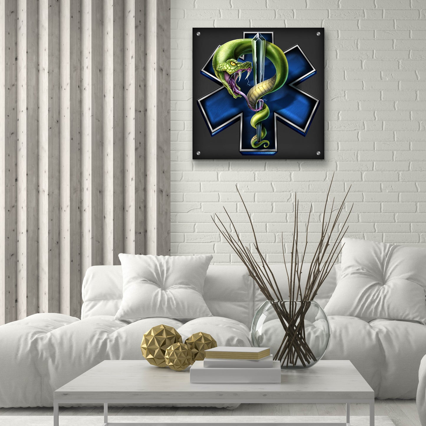 Epic Art 'EMS Star of Life With Snake' by Flyland Designs, Acrylic Glass Wall Art,24x24