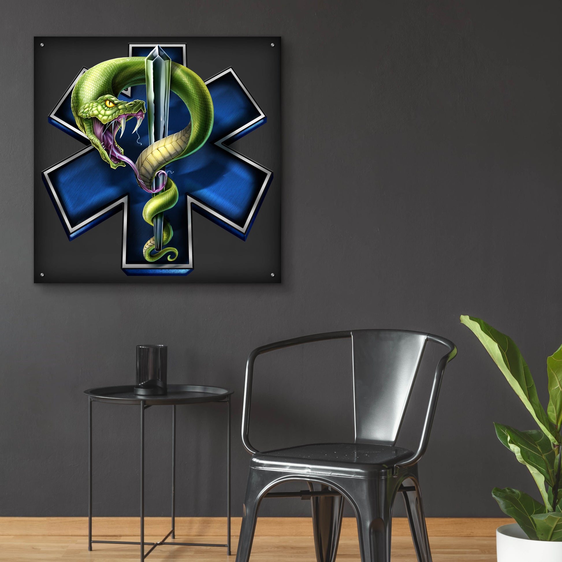 Epic Art 'EMS Star of Life With Snake' by Flyland Designs, Acrylic Glass Wall Art,36x36