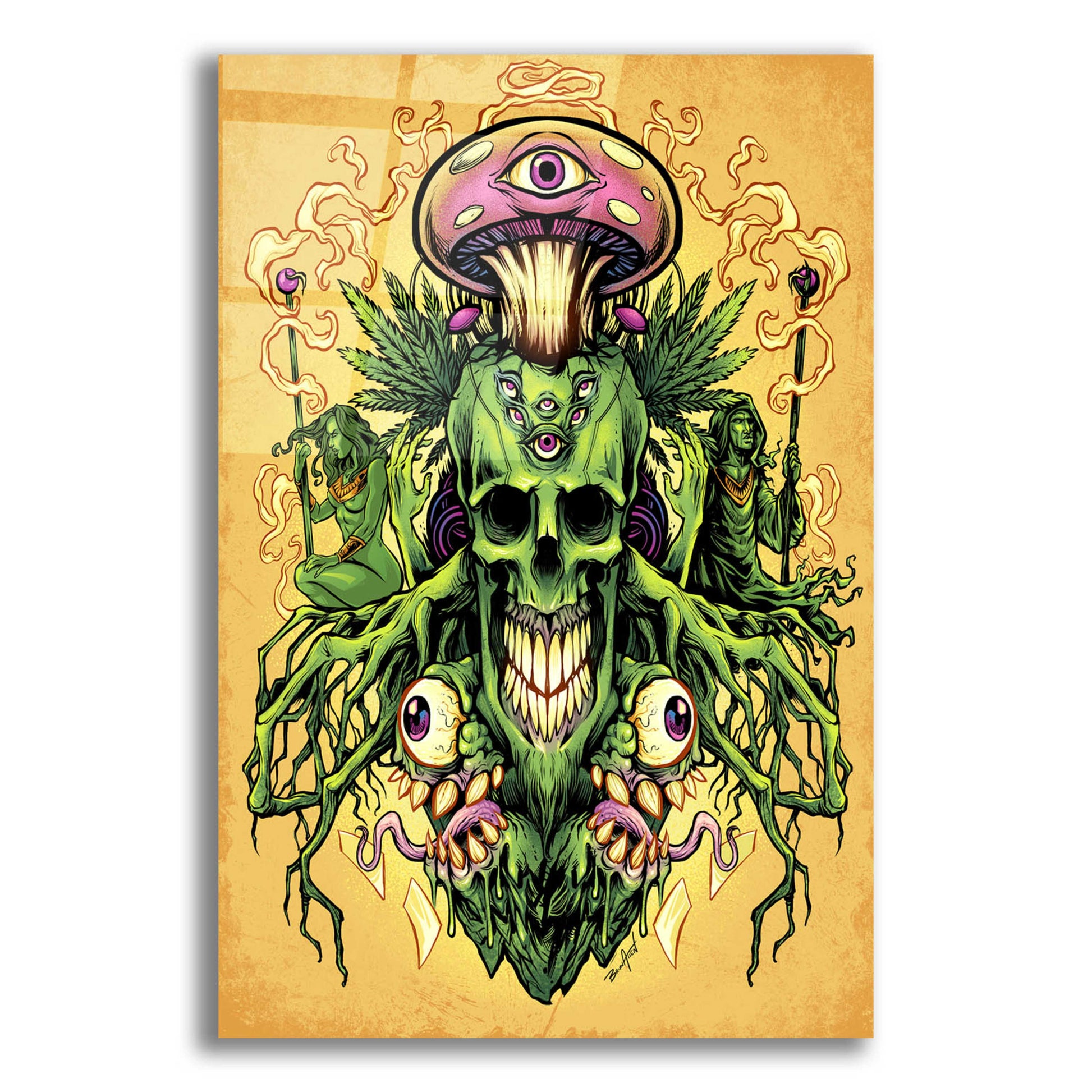 Epic Art 'Marijuana Skull and Mushrooms' by Flyland Designs, Acrylic Glass Wall Art,16x24