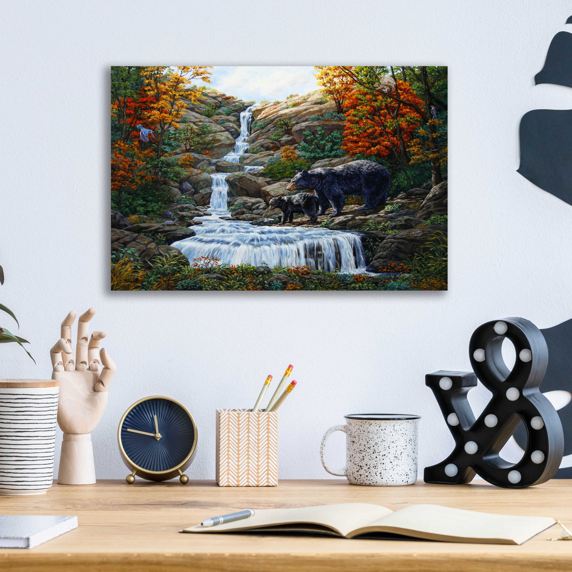 Epic Art 'Black Bear Falls' by Crista Forest, Acrylic Glass Wall Art,16x12