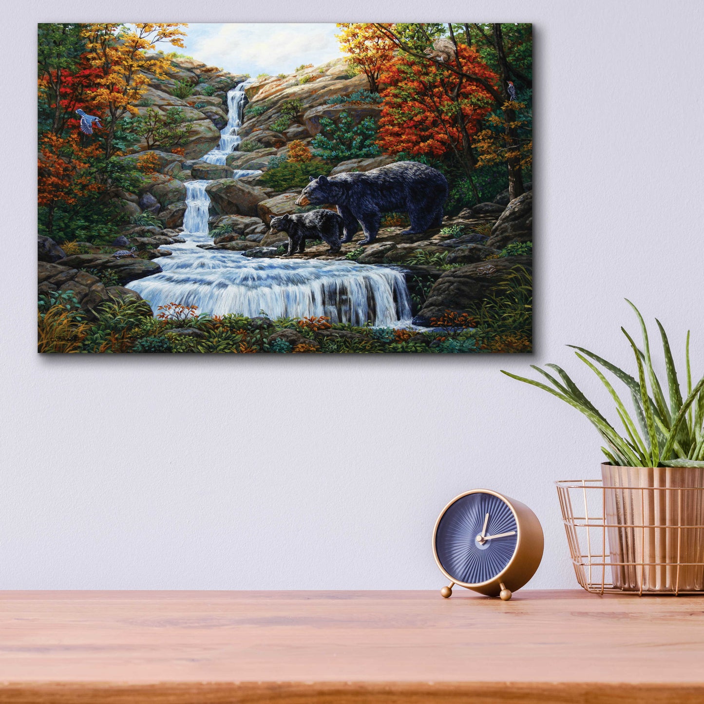 Epic Art 'Black Bear Falls' by Crista Forest, Acrylic Glass Wall Art,16x12