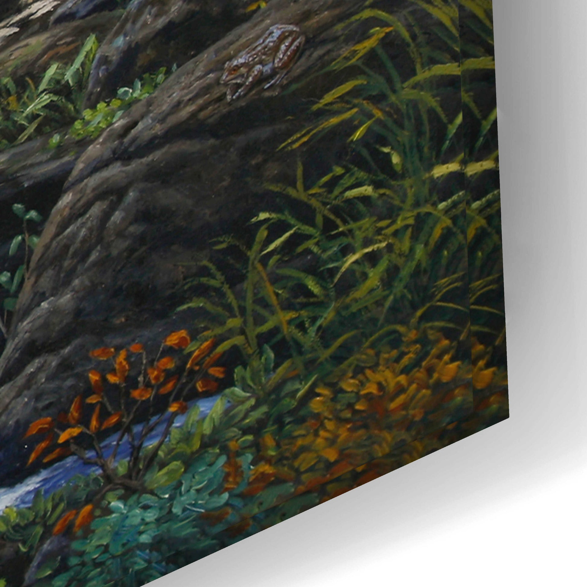 Epic Art 'Black Bear Falls' by Crista Forest, Acrylic Glass Wall Art,24x16