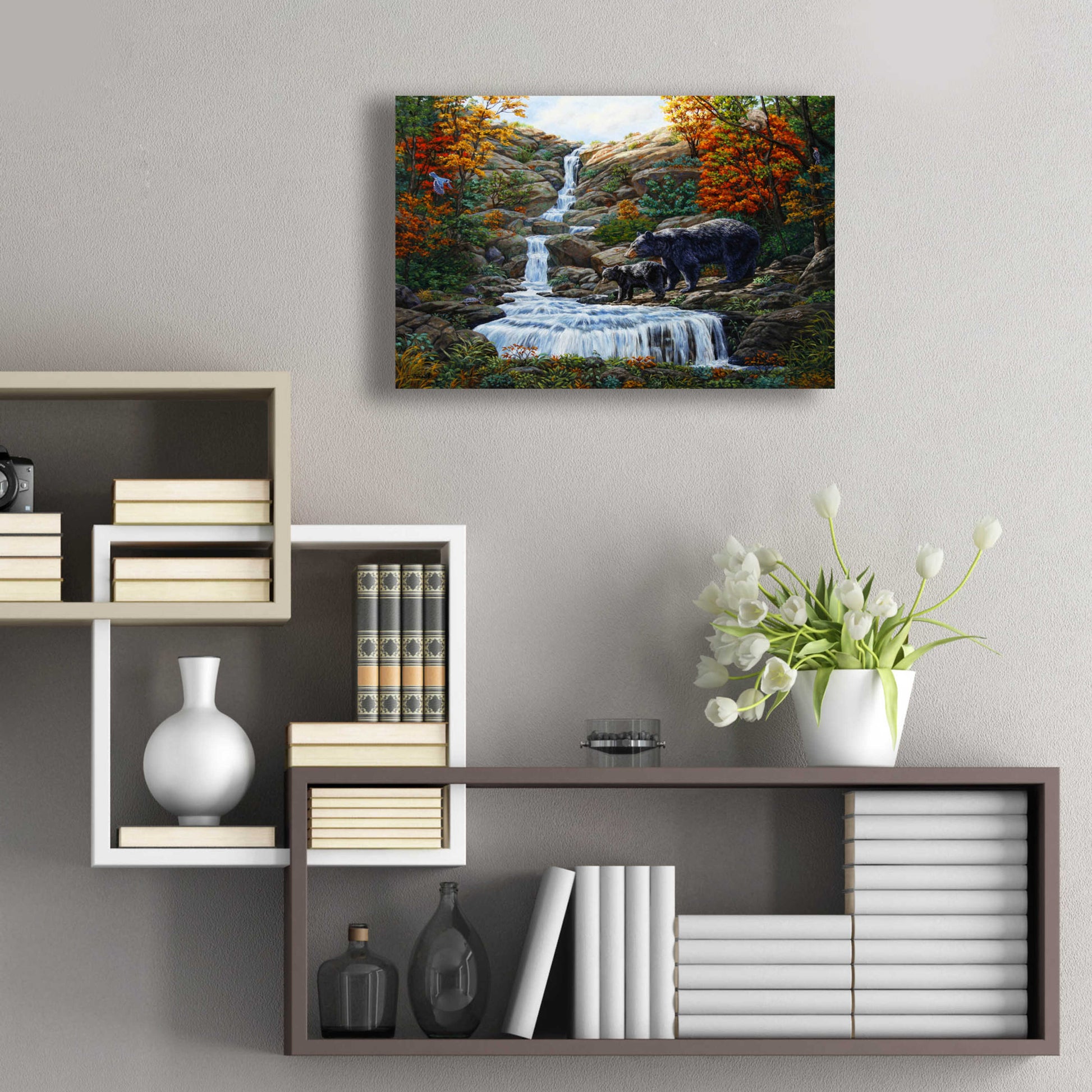 Epic Art 'Black Bear Falls' by Crista Forest, Acrylic Glass Wall Art,24x16