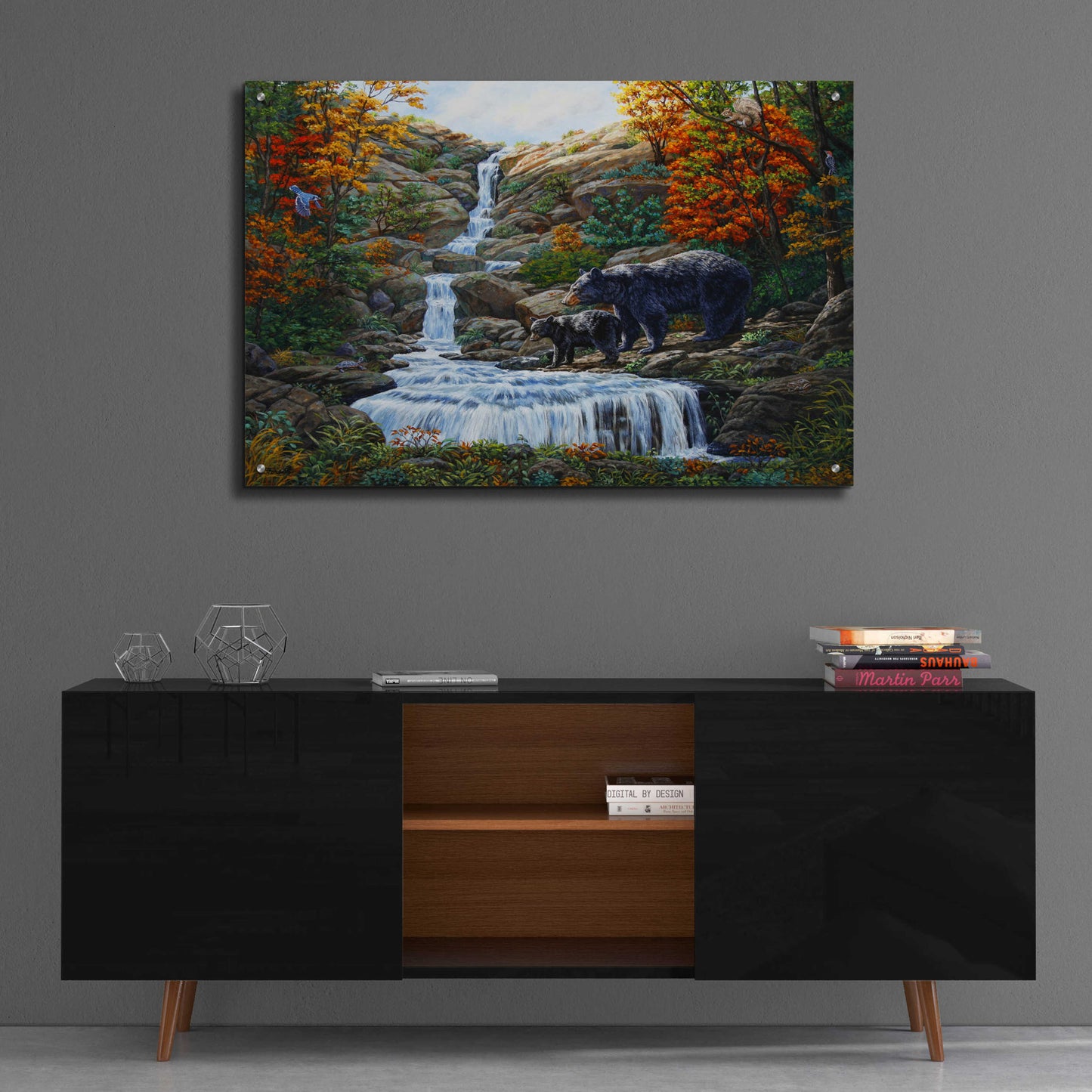 Epic Art 'Black Bear Falls' by Crista Forest, Acrylic Glass Wall Art,36x24