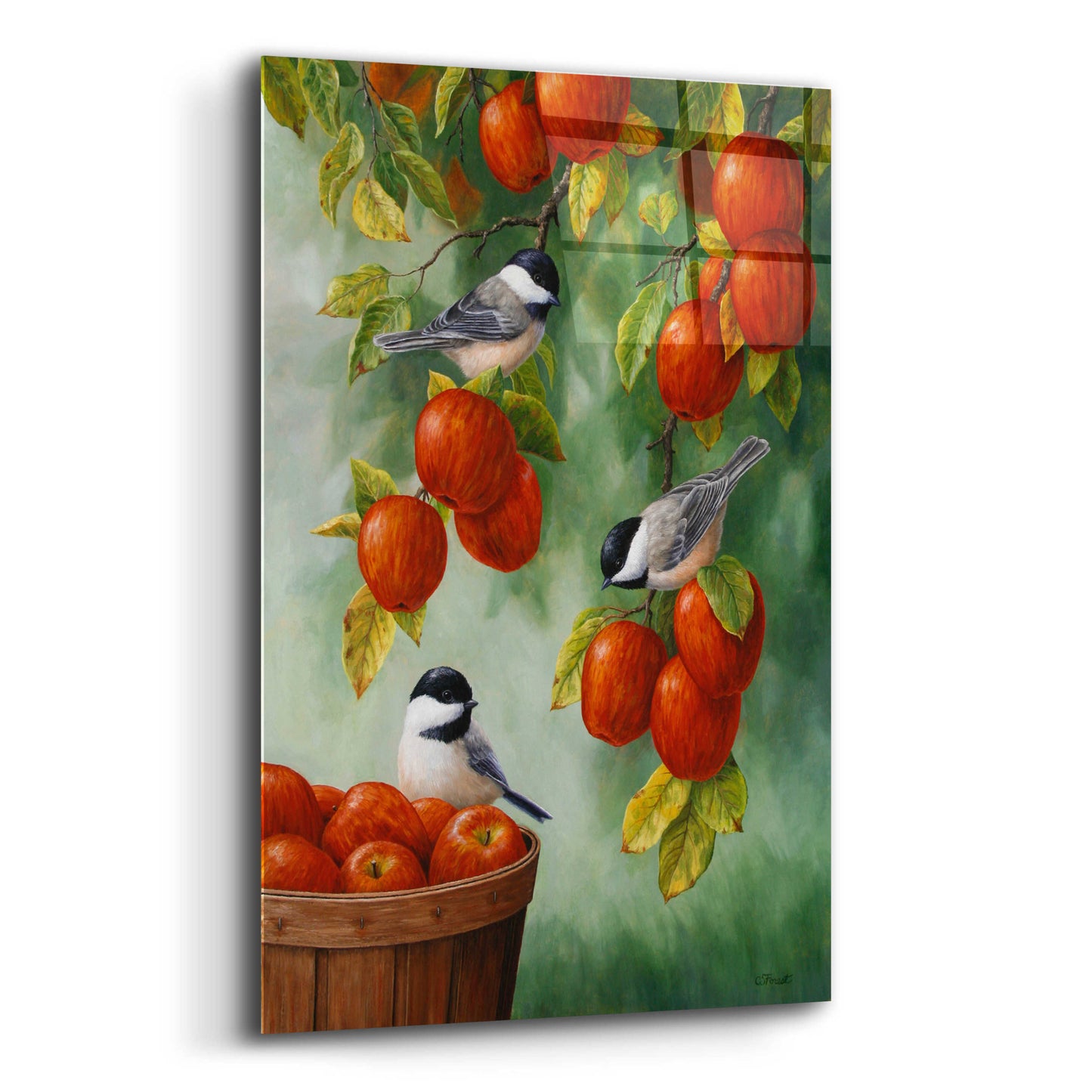 Epic Art 'Apple Harvest Chickadees' by Crista Forest, Acrylic Glass Wall Art,12x16