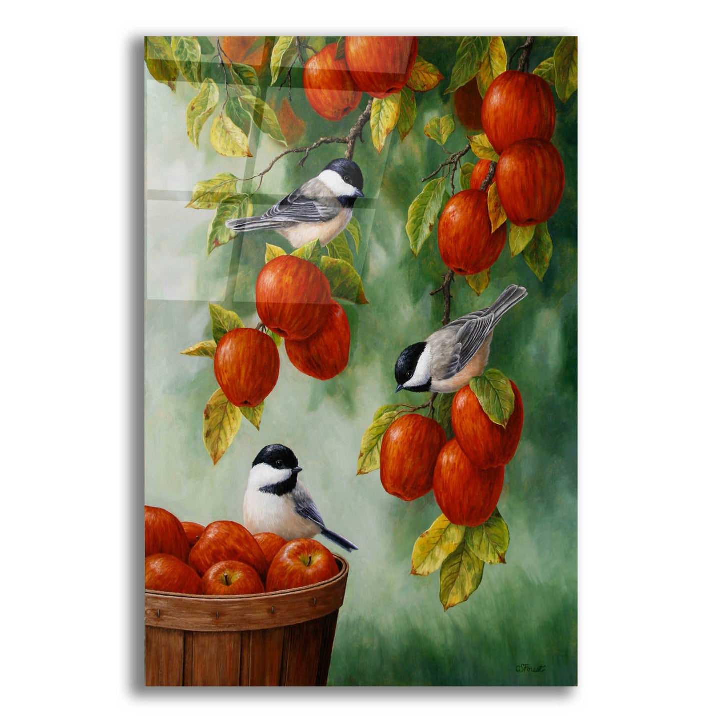 Epic Art 'Apple Harvest Chickadees' by Crista Forest, Acrylic Glass Wall Art,12x16