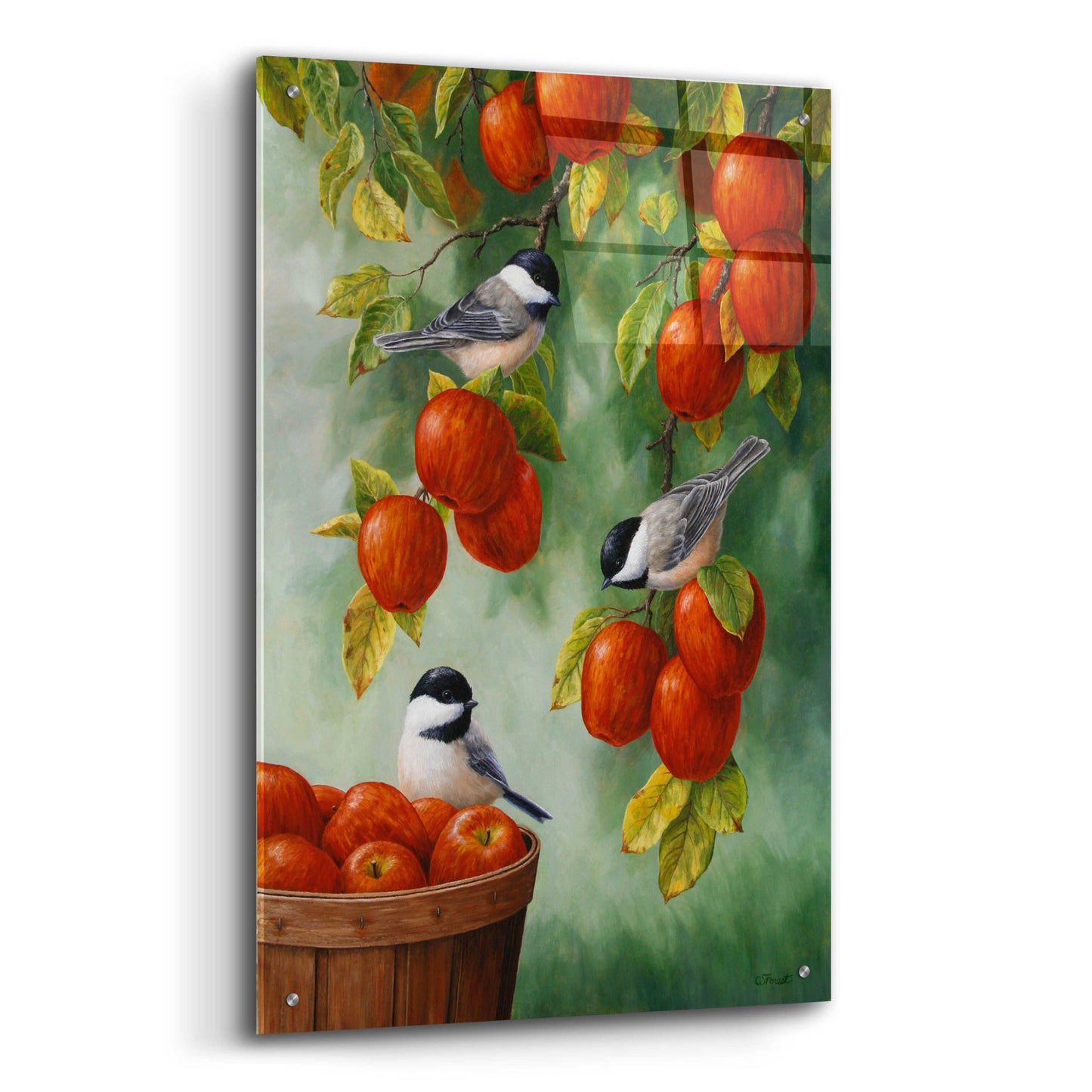 Epic Art 'Apple Harvest Chickadees' by Crista Forest, Acrylic Glass Wall Art,24x36